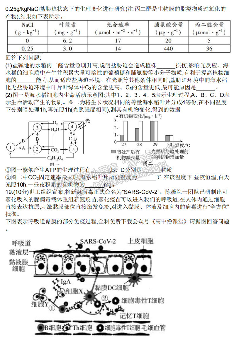 2023湖南邵陽(yáng)一模生物試卷及答案