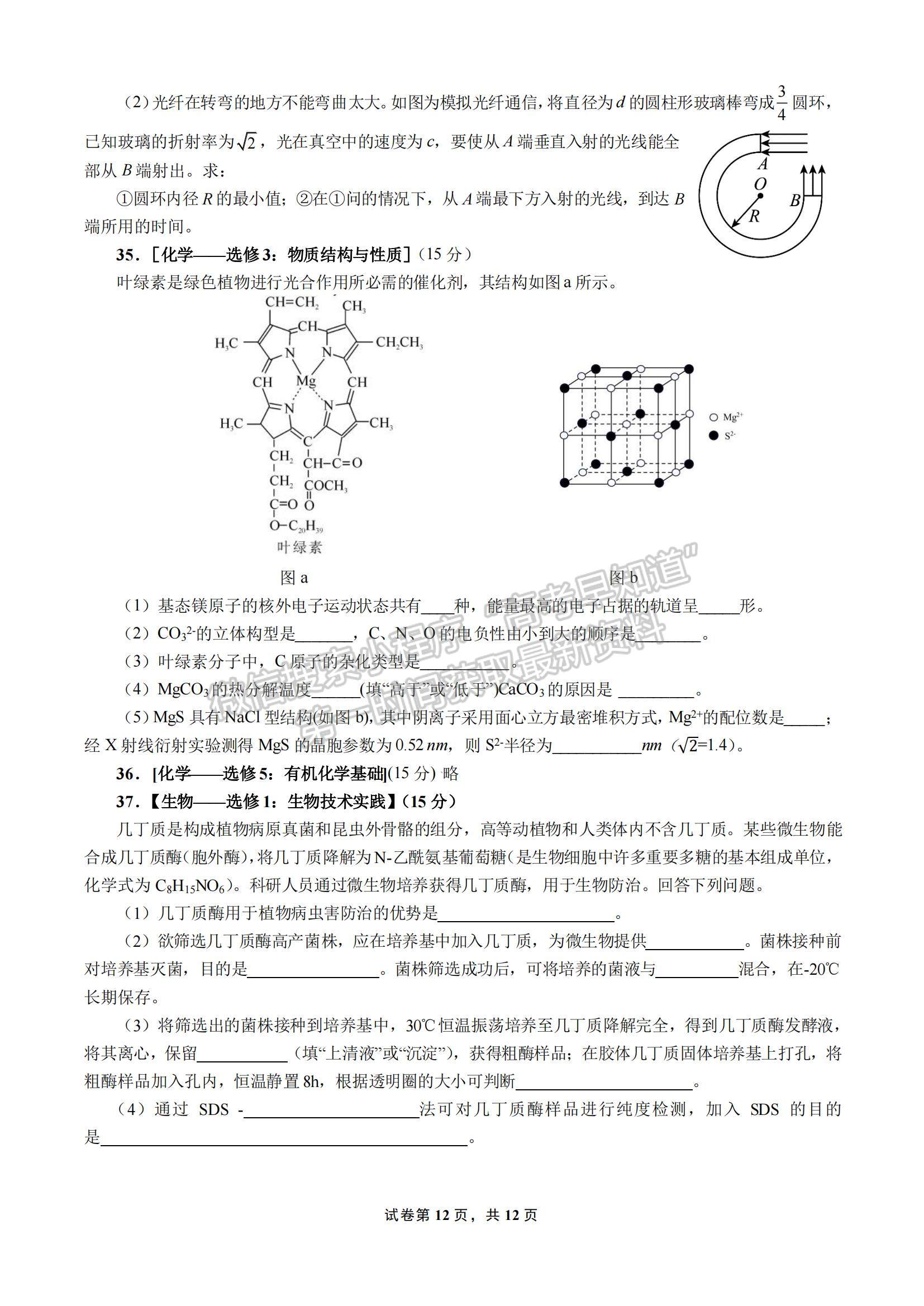 2023四川省成都七中高三上學(xué)期10月階段考試理綜試題及參考答案