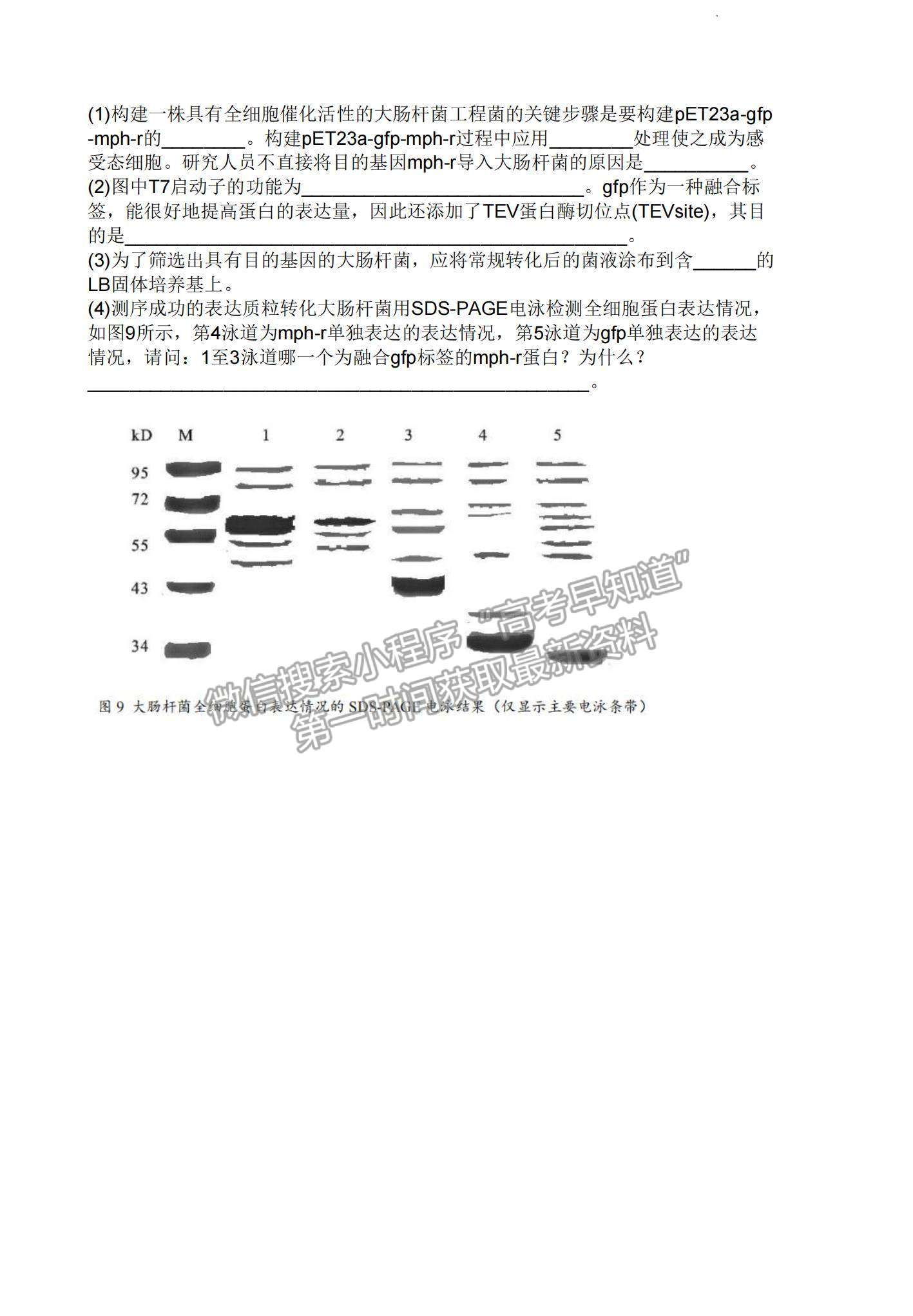 2023廣東新高考普通高中學(xué)考綜合素質(zhì)評價1月聯(lián)考生物試題及答案