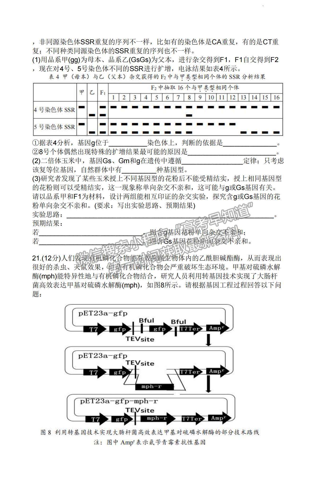 2023廣東新高考普通高中學(xué)考綜合素質(zhì)評價1月聯(lián)考生物試題及答案