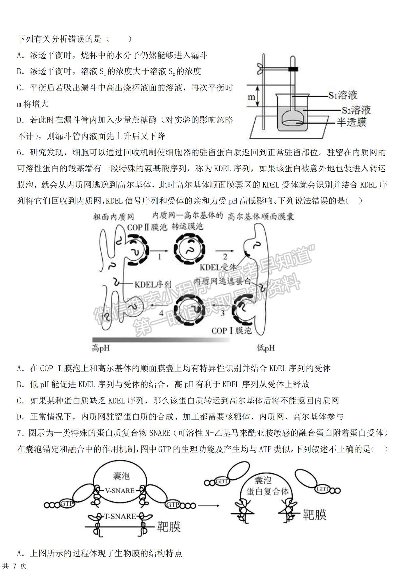 2023江西省臨川一中高三上學期10月期中考試生物試題及參考答案