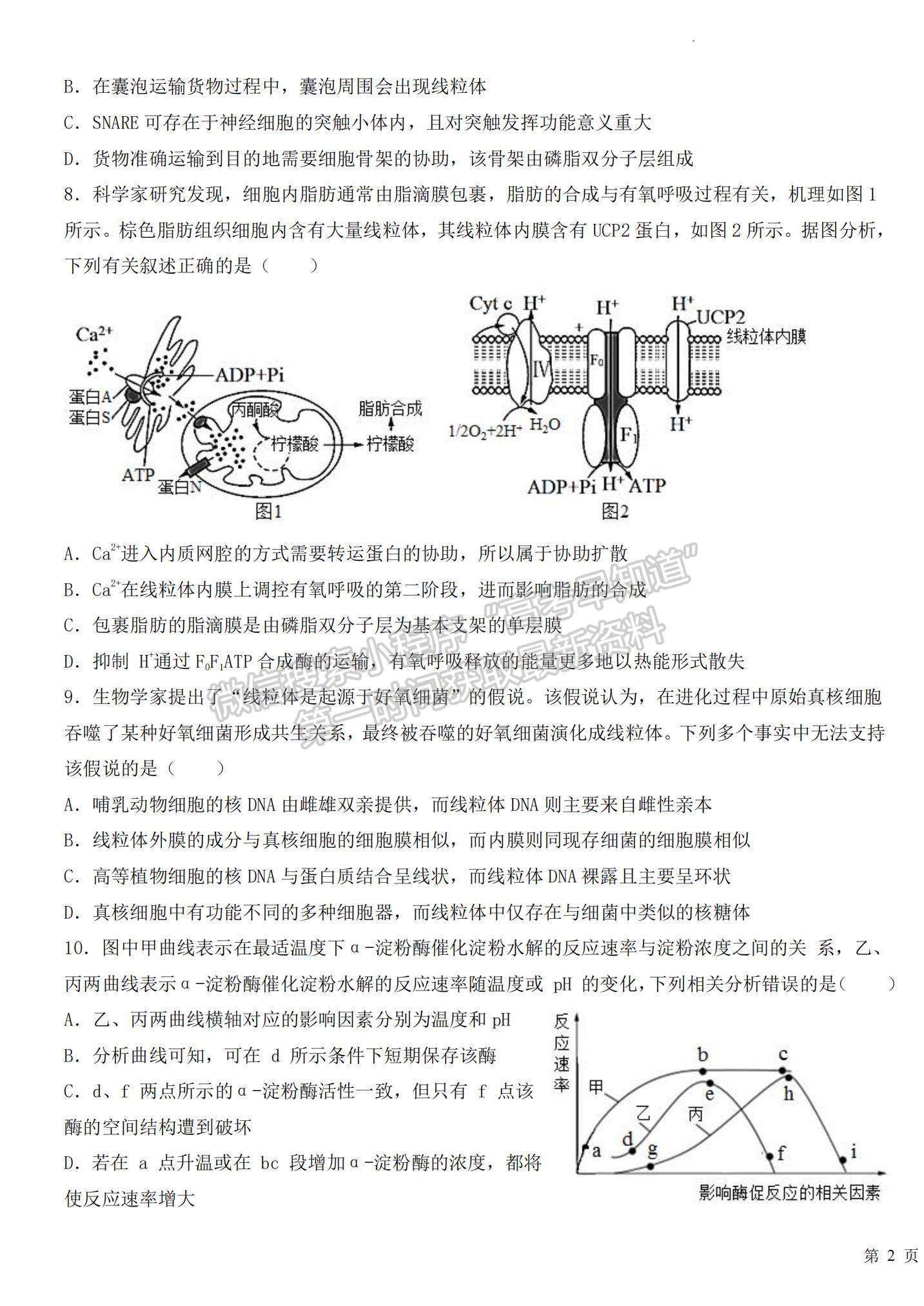 2023江西省臨川一中高三上學(xué)期10月期中考試生物試題及參考答案