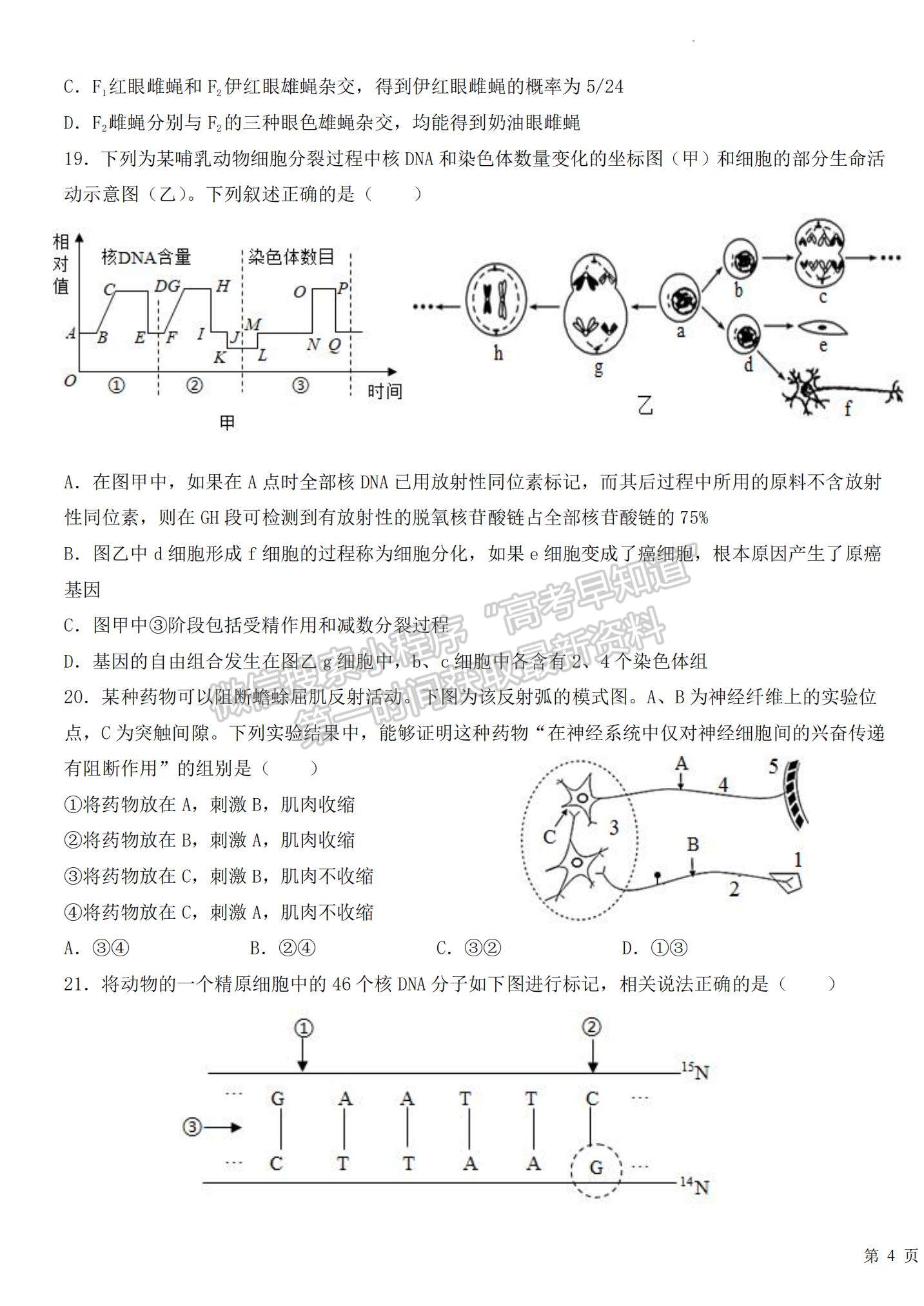 2023江西省臨川一中高三上學(xué)期10月期中考試生物試題及參考答案