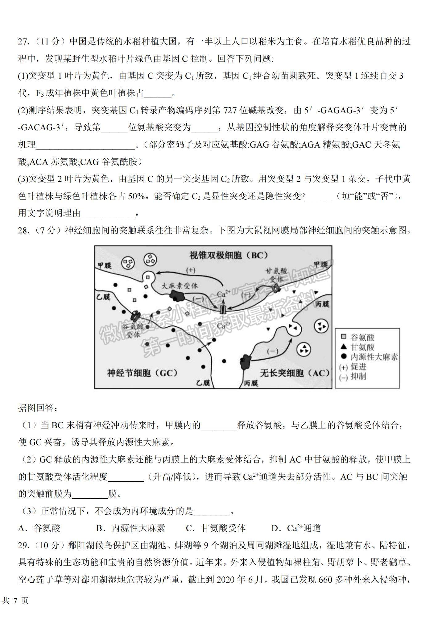 2023江西省臨川一中高三上學(xué)期10月期中考試生物試題及參考答案