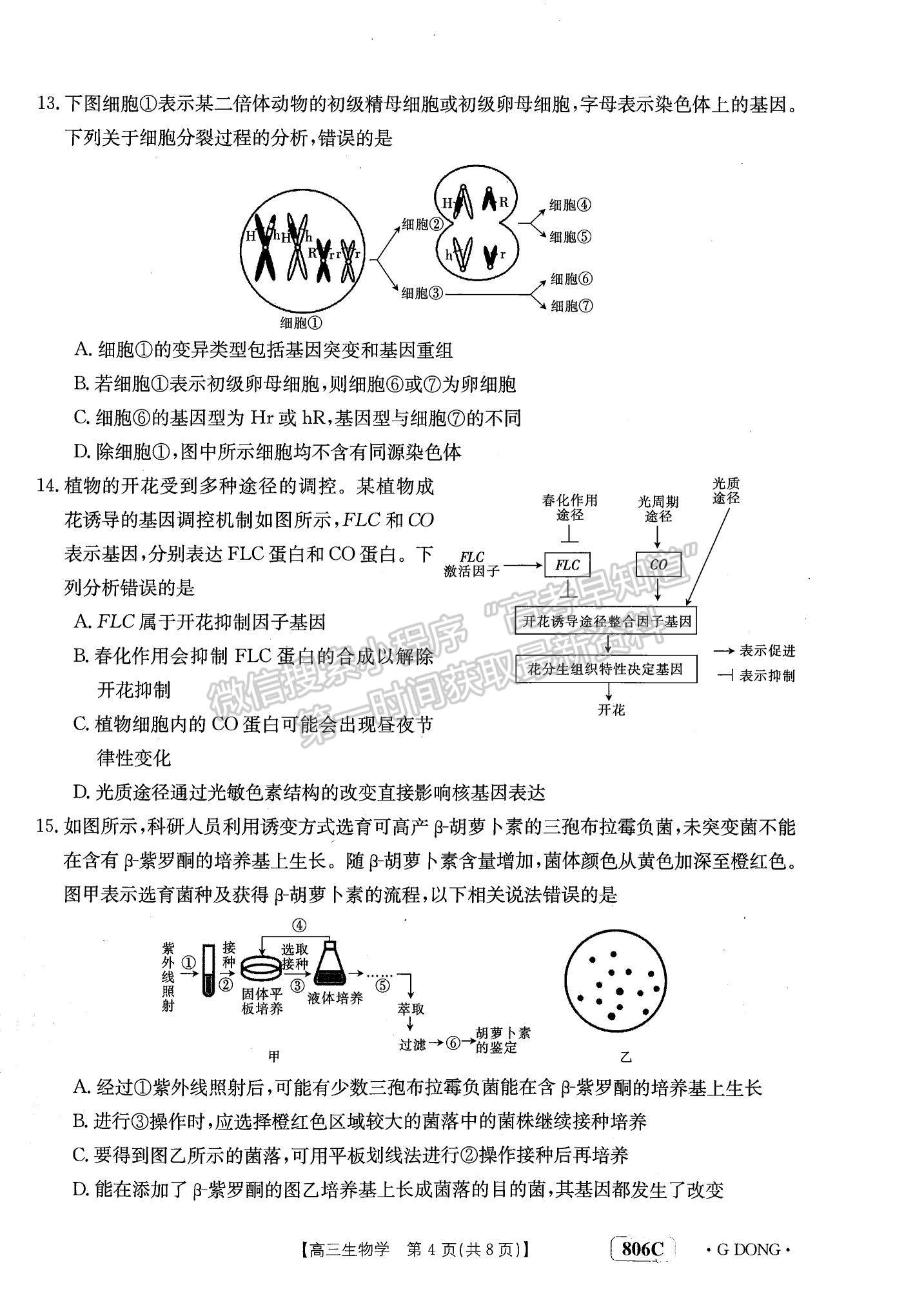 2023江門高三聯(lián)考（806C/23-256C）生物試題及答案