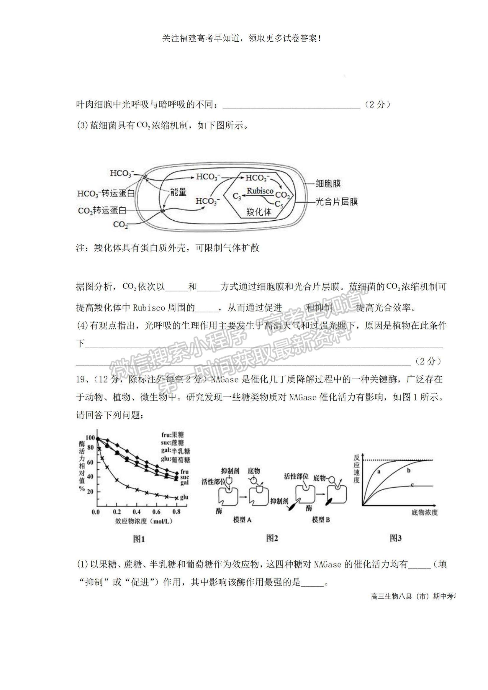 2023福建省福州市八縣（市、區(qū)）一中高三上學(xué)期期中聯(lián)考生物試題及參考答案