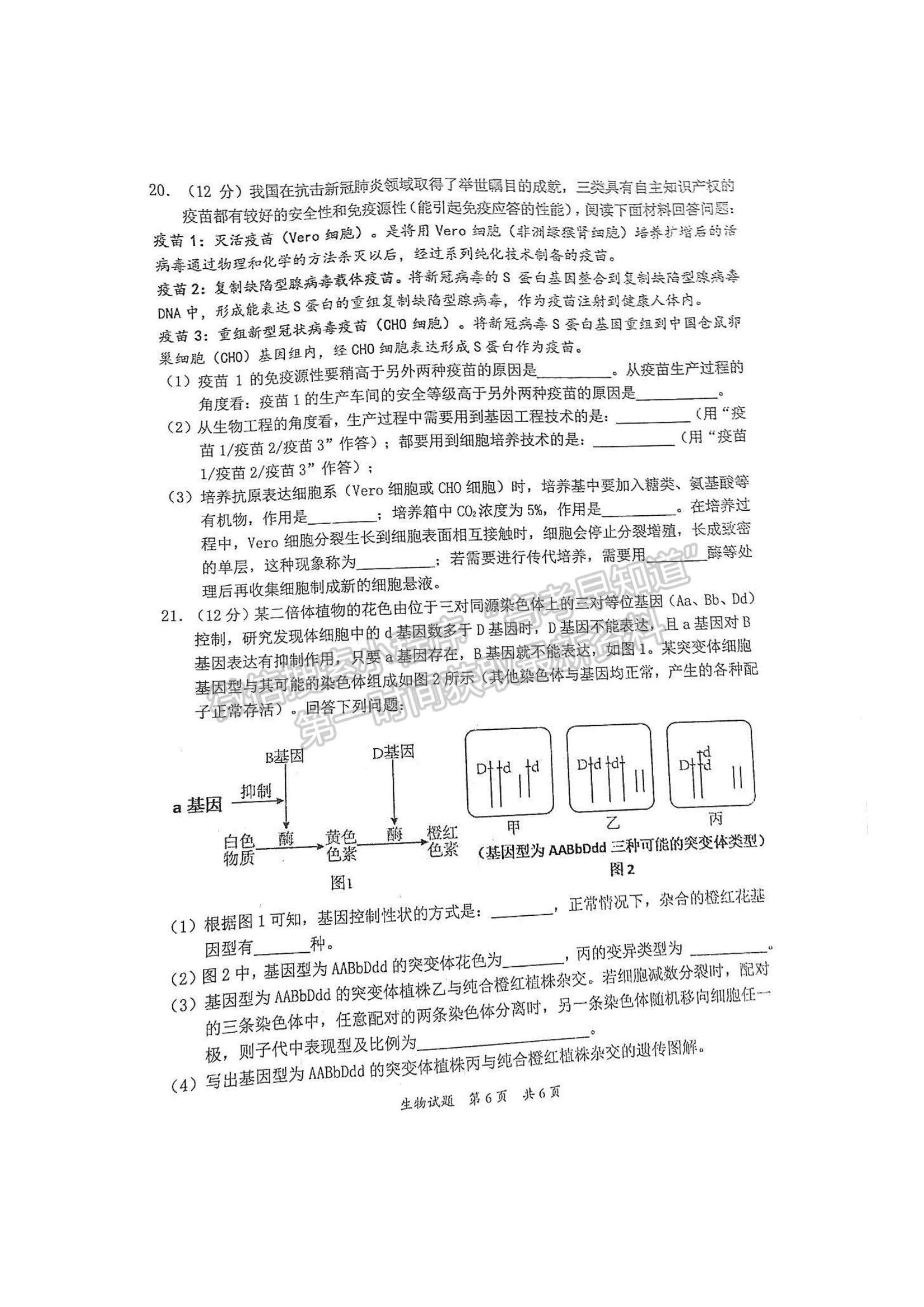 2023惠州三調(diào)生物試題及答案