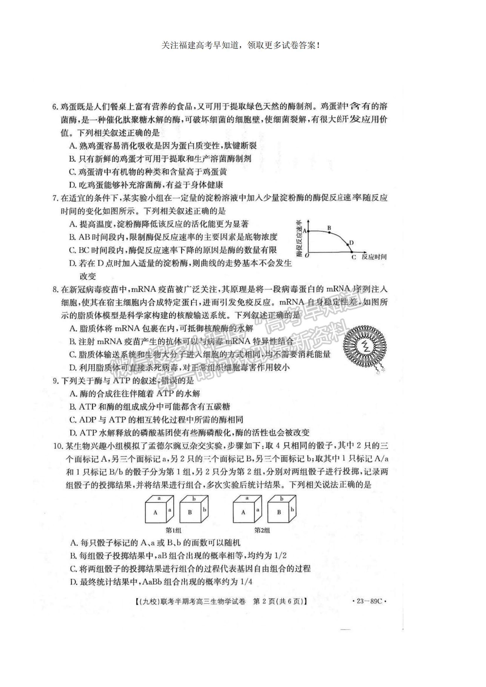 2023福建省龍巖市一級校聯(lián)盟（九校）高三上學(xué)期11月期中聯(lián)考生物試題及參考答案