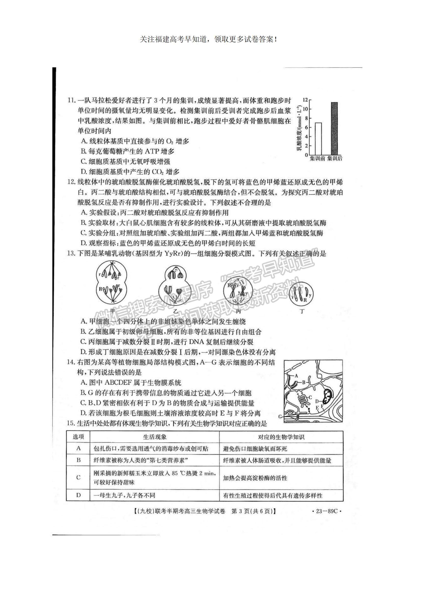 2023福建省龍巖市一級校聯(lián)盟（九校）高三上學期11月期中聯(lián)考生物試題及參考答案