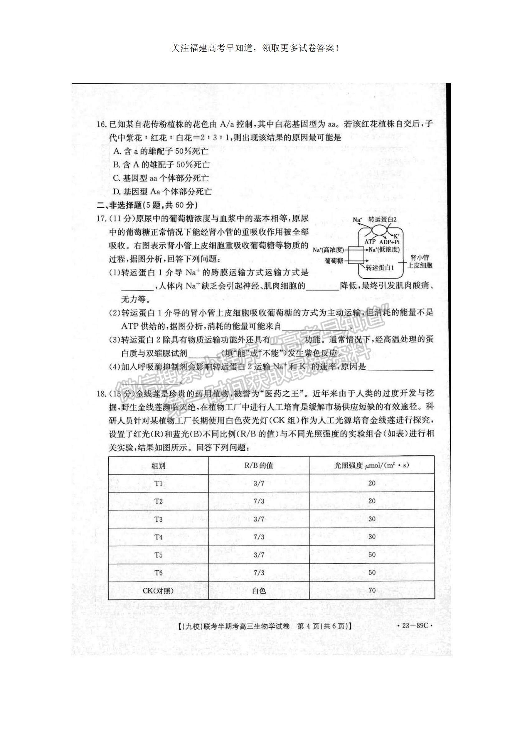 2023福建省龍巖市一級校聯(lián)盟（九校）高三上學(xué)期11月期中聯(lián)考生物試題及參考答案