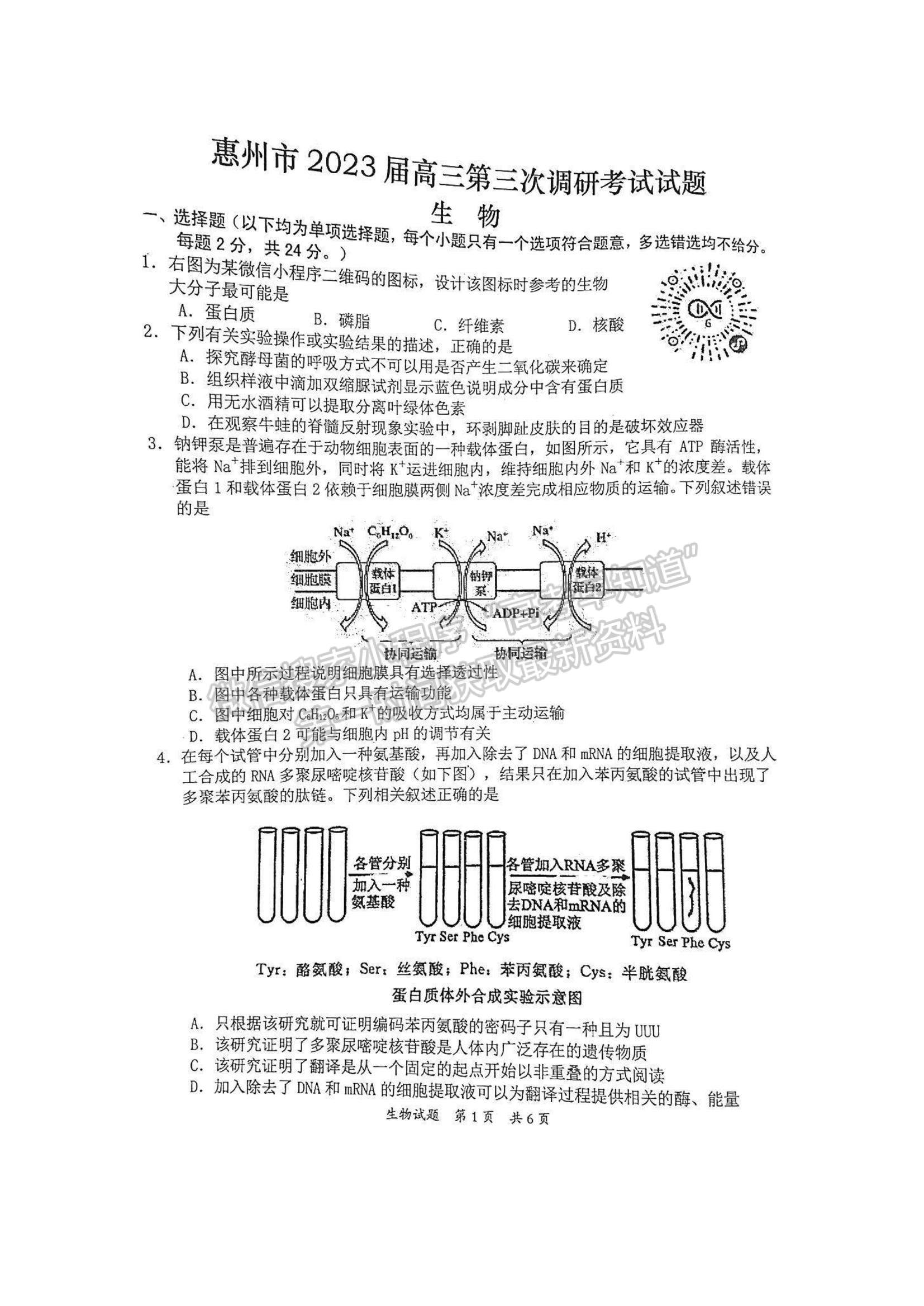 2023惠州三調(diào)生物試題及答案