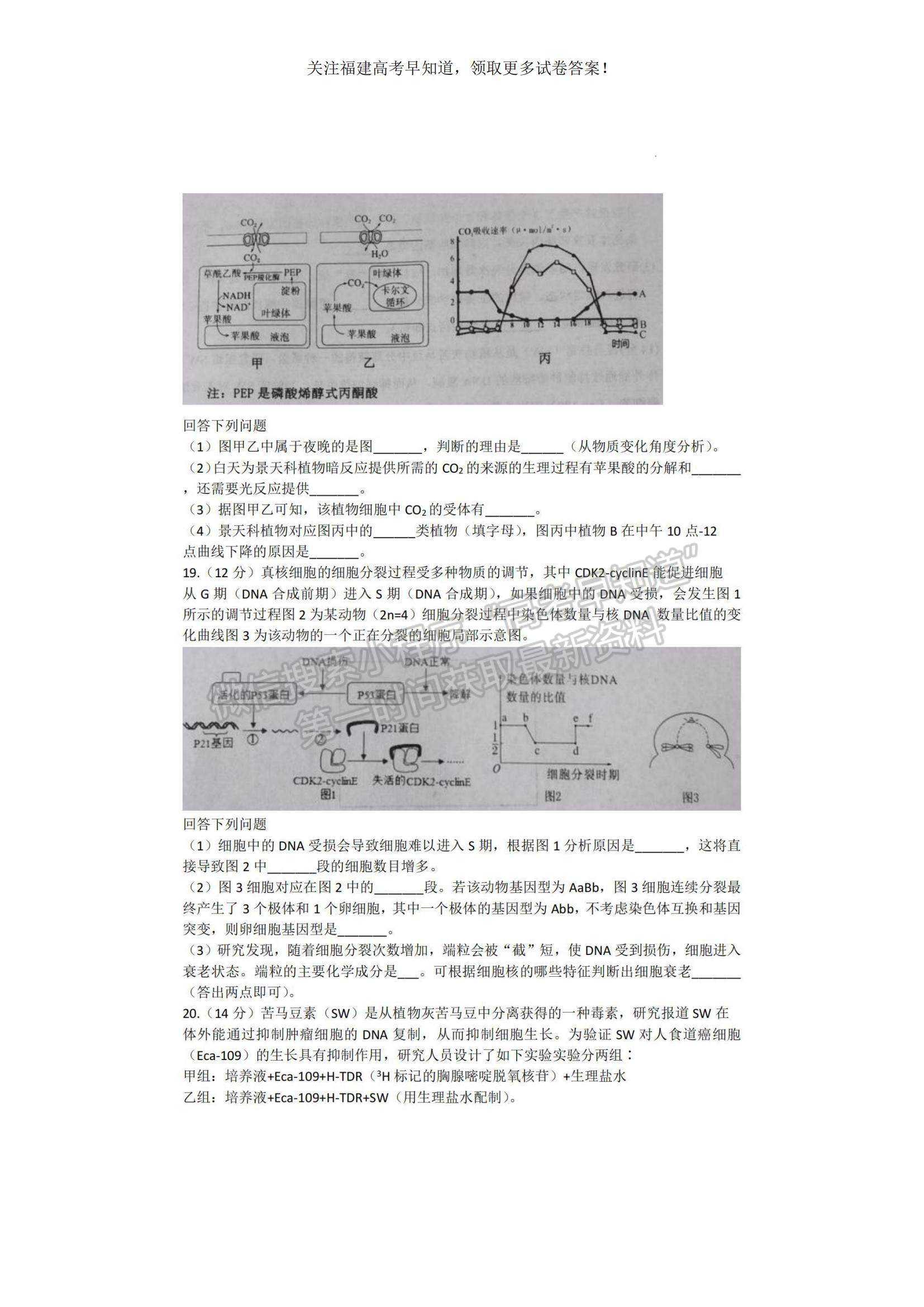 2023福建省寧德市高三上學(xué)期期中區(qū)域性學(xué)業(yè)質(zhì)量檢測生物試題及參考答案