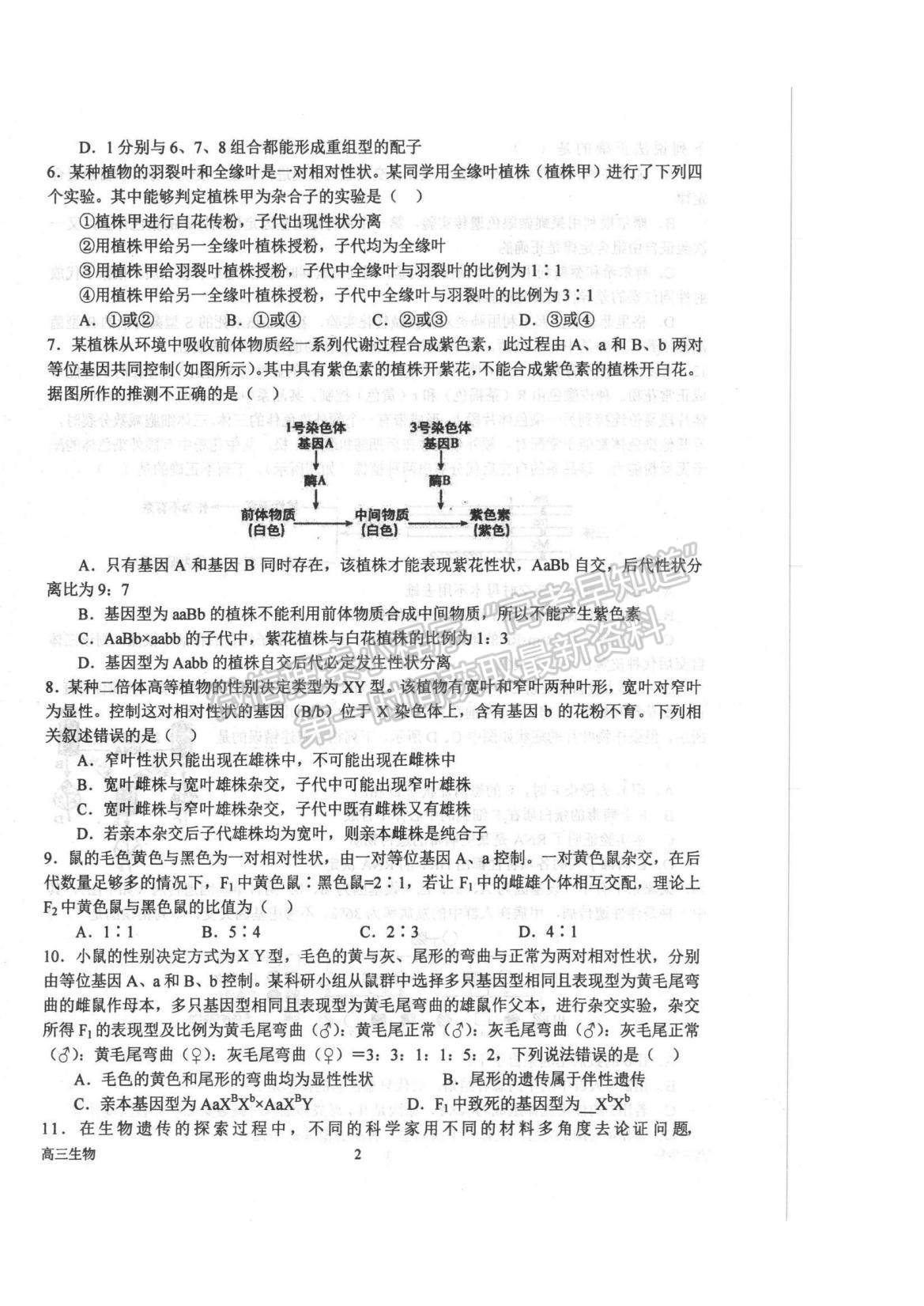 2023河南省南陽(yáng)一中高三上學(xué)期10月月考生物試題及參考答案