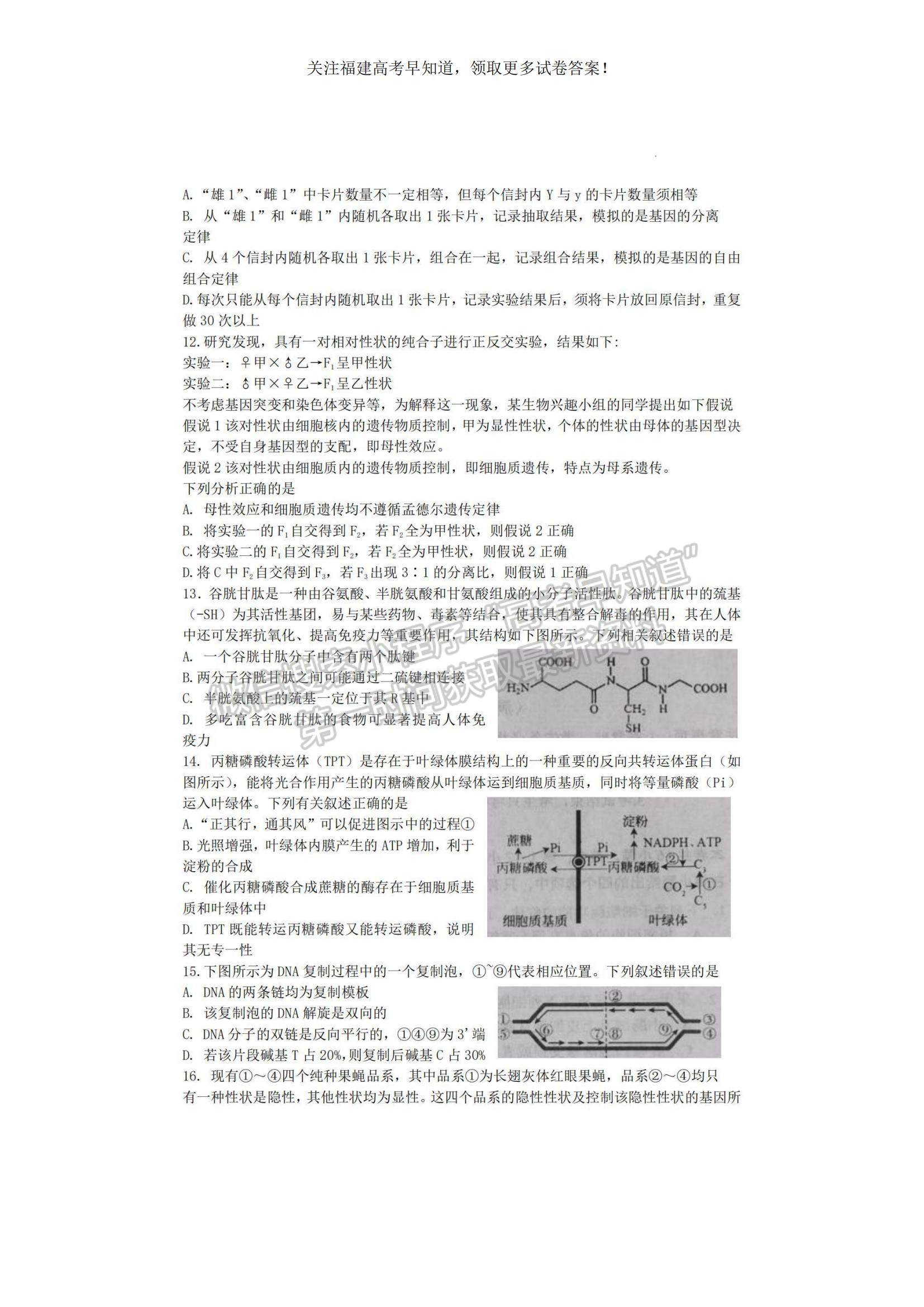 2023福建省寧德市高三上學(xué)期期中區(qū)域性學(xué)業(yè)質(zhì)量檢測(cè)生物試題及參考答案