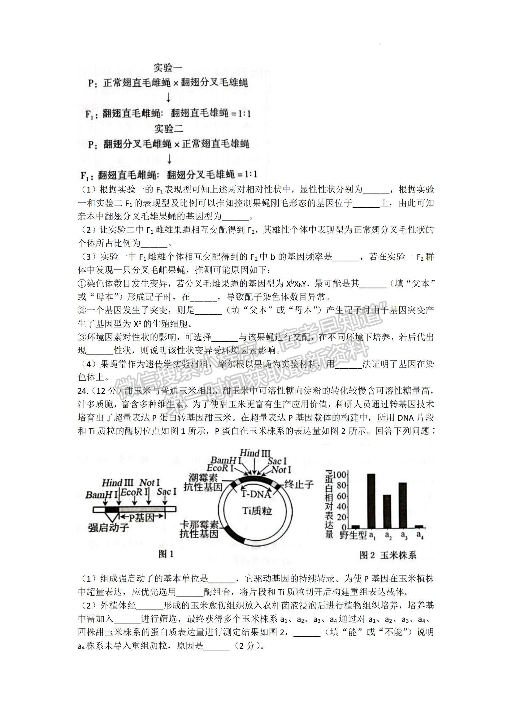 2023江蘇省常熟市高三上學(xué)期階段性抽測(cè)一生物試題及參考答案