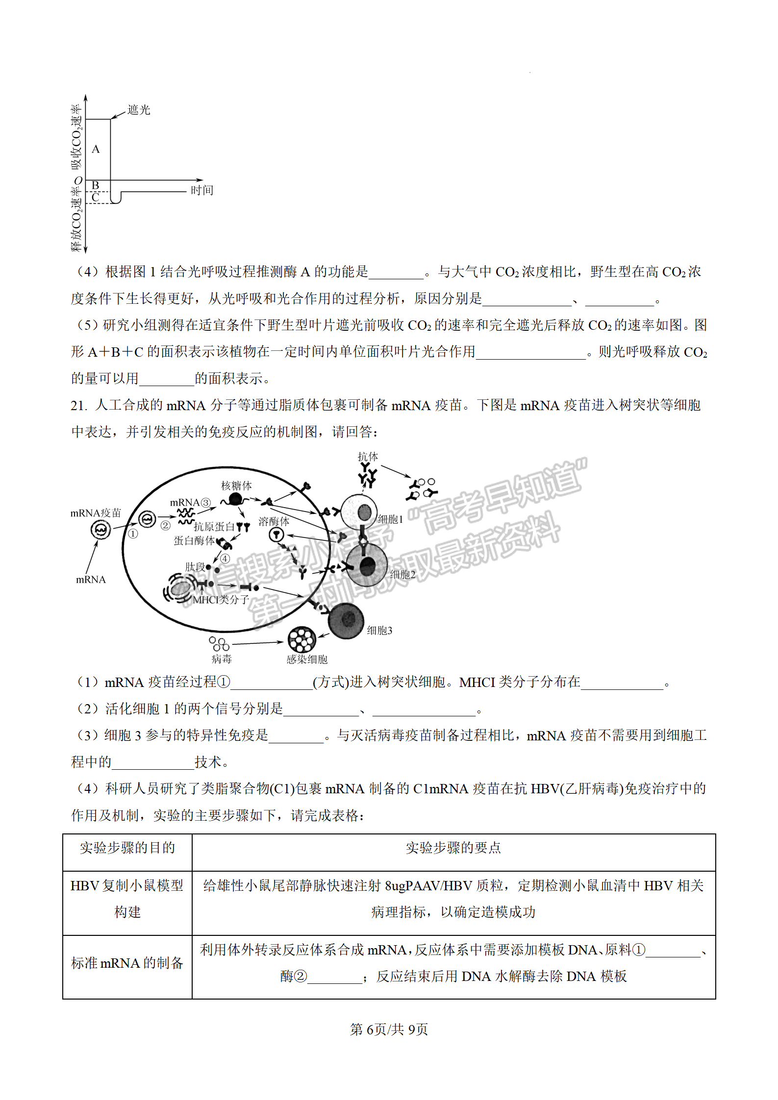 2023屆江蘇南通海安市高三上學期1月期末生物試題及參考答案