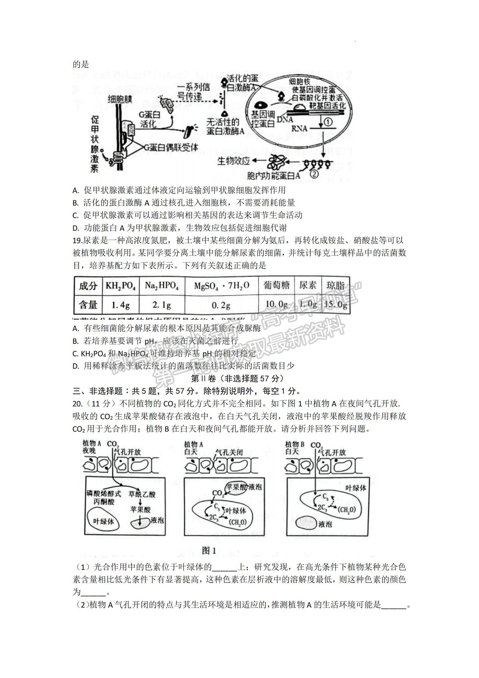 2023江蘇省常熟市高三上學(xué)期階段性抽測(cè)一生物試題及參考答案