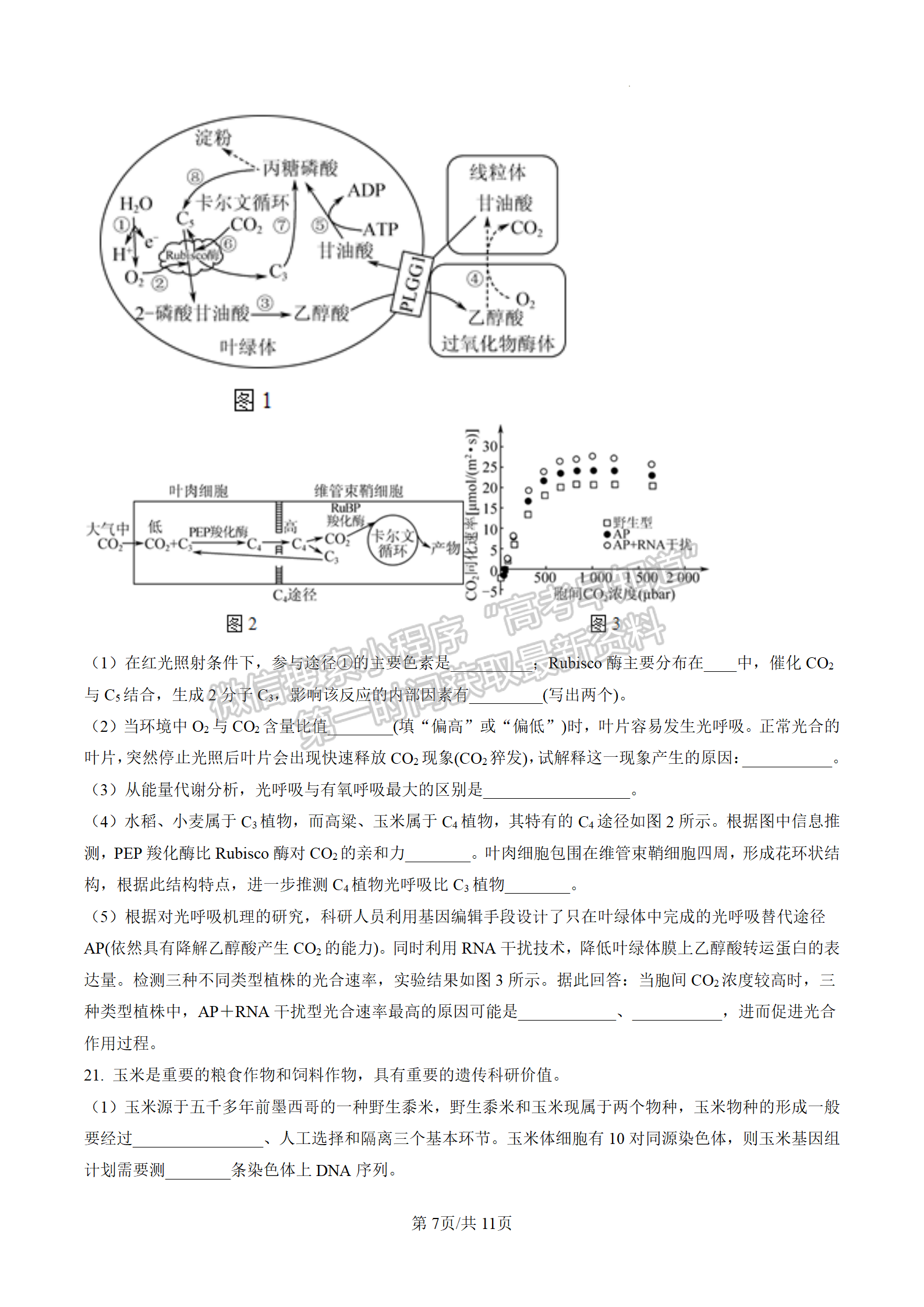 2023屆江蘇南通市區(qū)高三上學(xué)期期末生物試題及參考答案