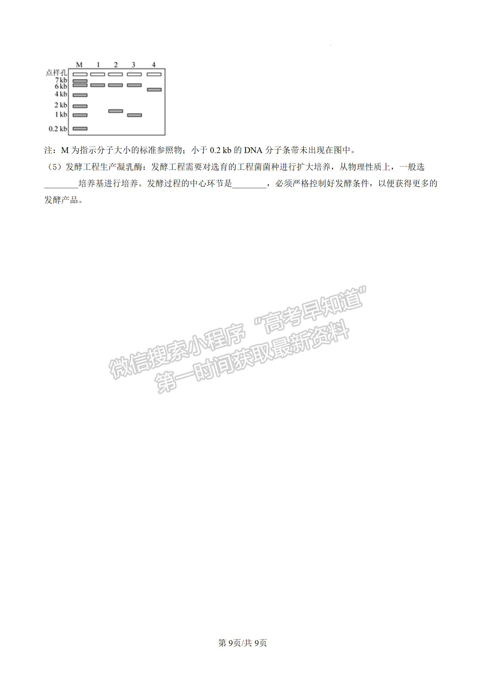 2023屆江蘇省泰州市高三上學(xué)期期末調(diào)研測試生物試題及參考答案