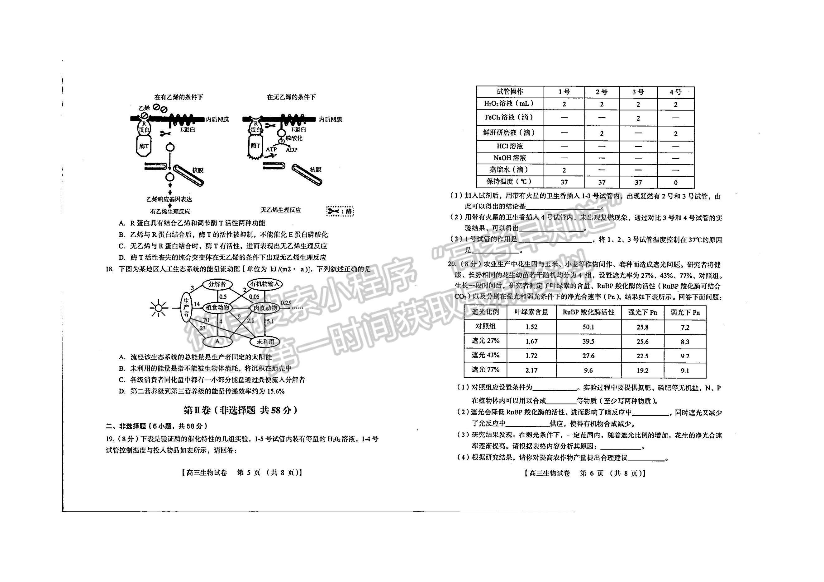 河南省三门峡市2022-2023学年高三上学期一模生物试题及参考答案