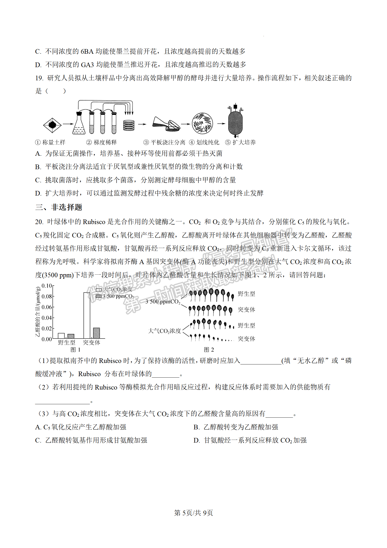 2023屆江蘇南通海安市高三上學期1月期末生物試題及參考答案