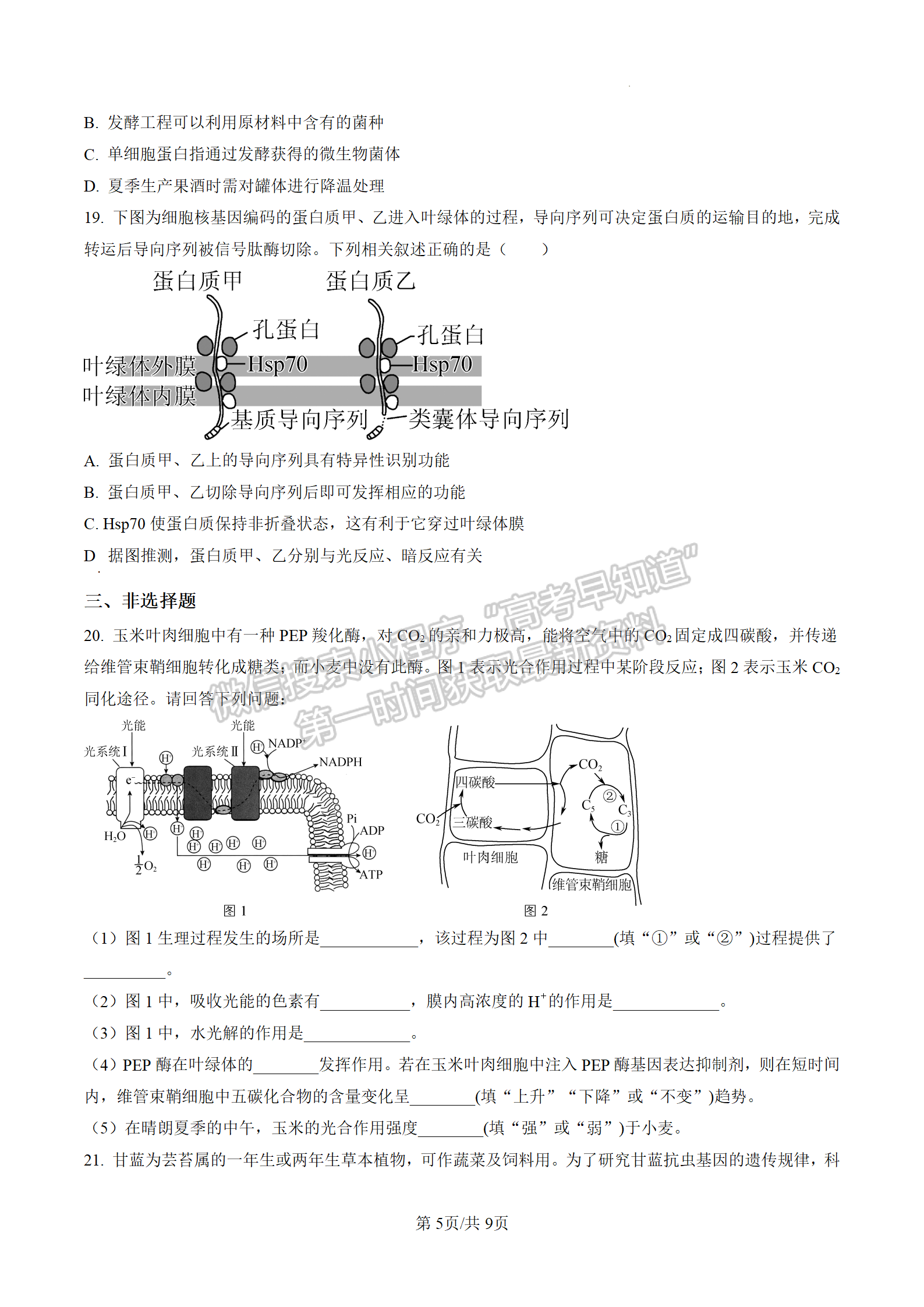 2023屆江蘇省泰州市高三上學(xué)期期末調(diào)研測試生物試題及參考答案