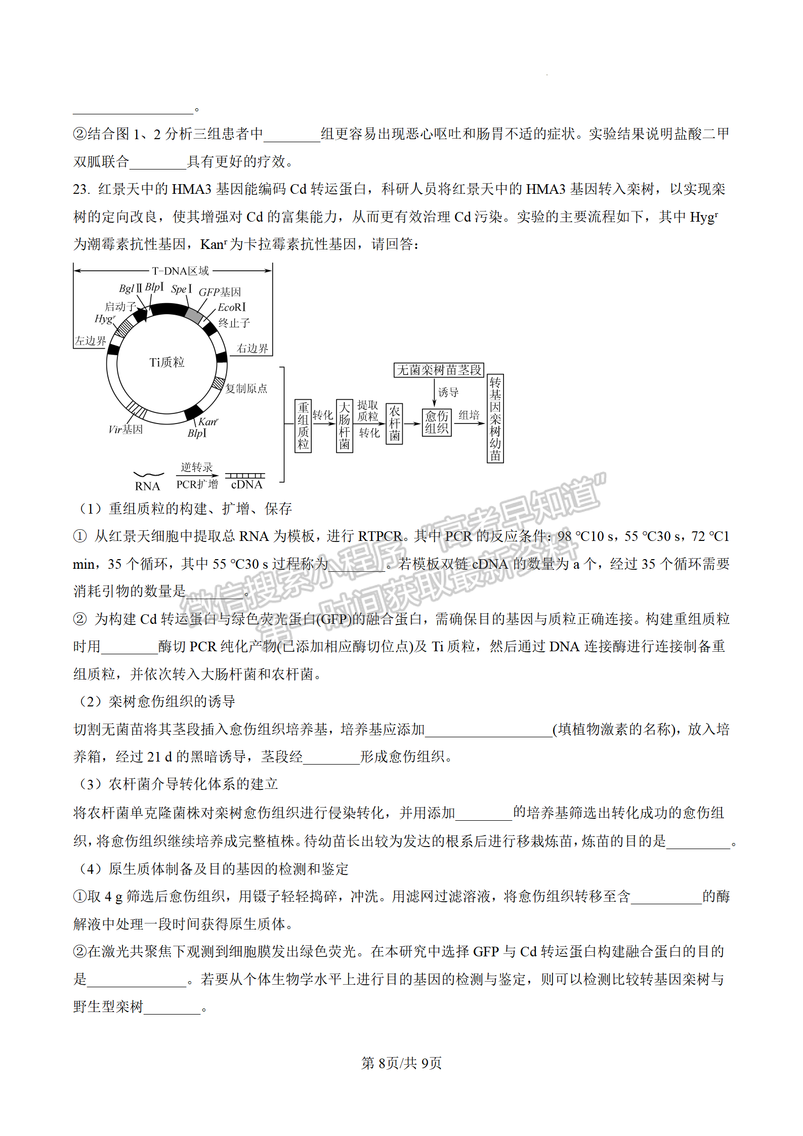 2023屆江蘇南通海安市高三上學(xué)期1月期末生物試題及參考答案