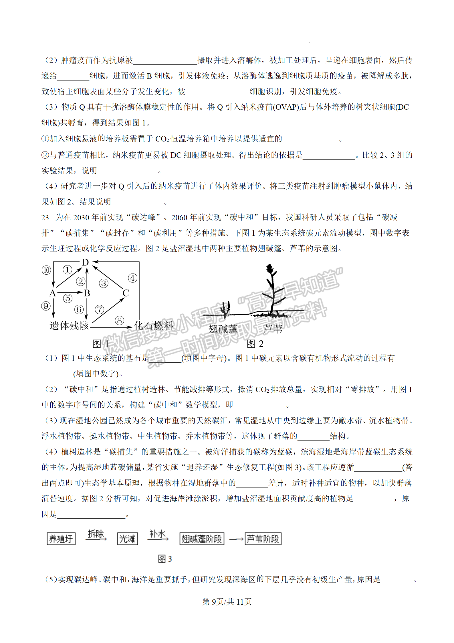 2023屆江蘇南通市區(qū)高三上學(xué)期期末生物試題及參考答案