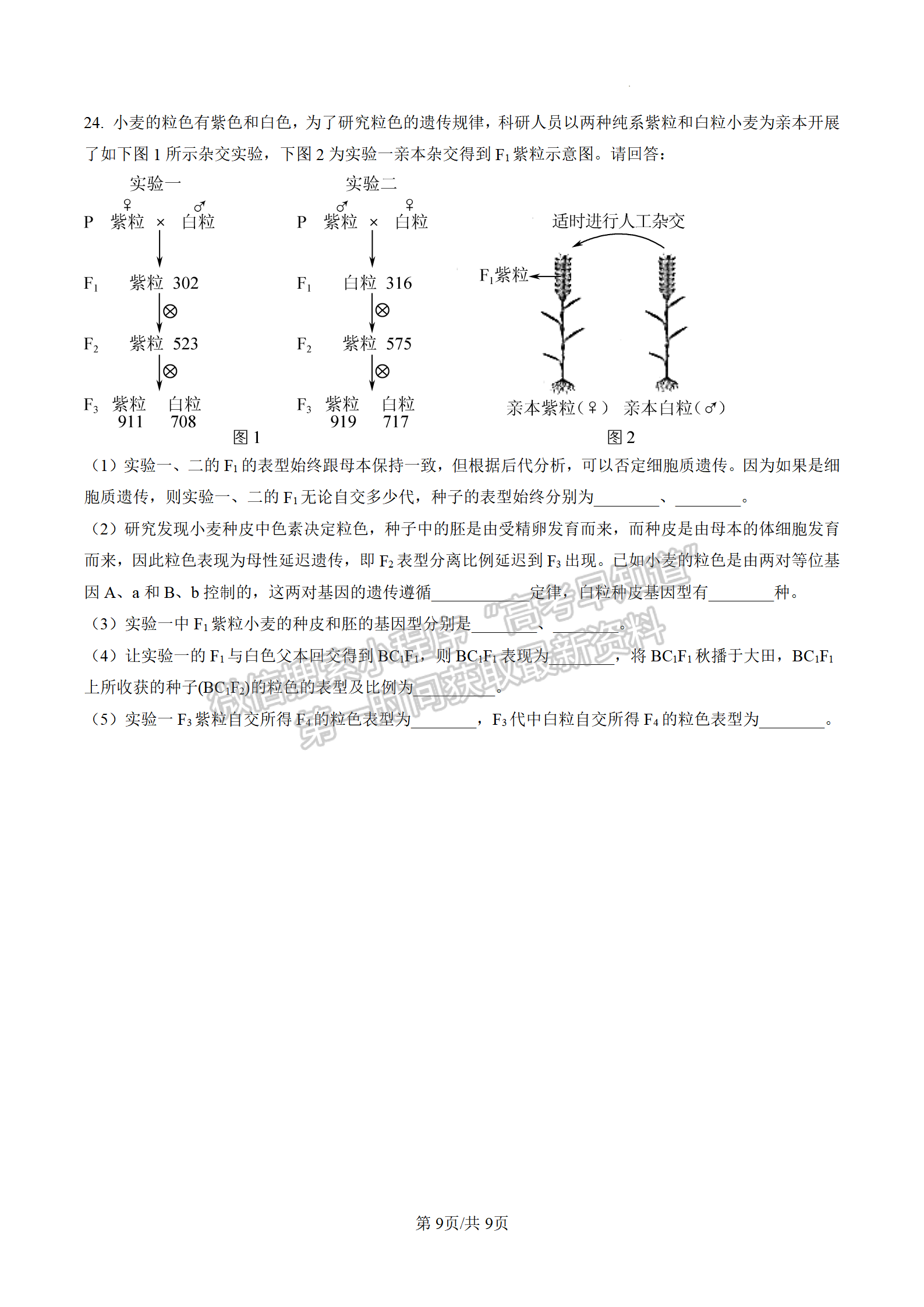 2023屆江蘇南通海安市高三上學(xué)期1月期末生物試題及參考答案