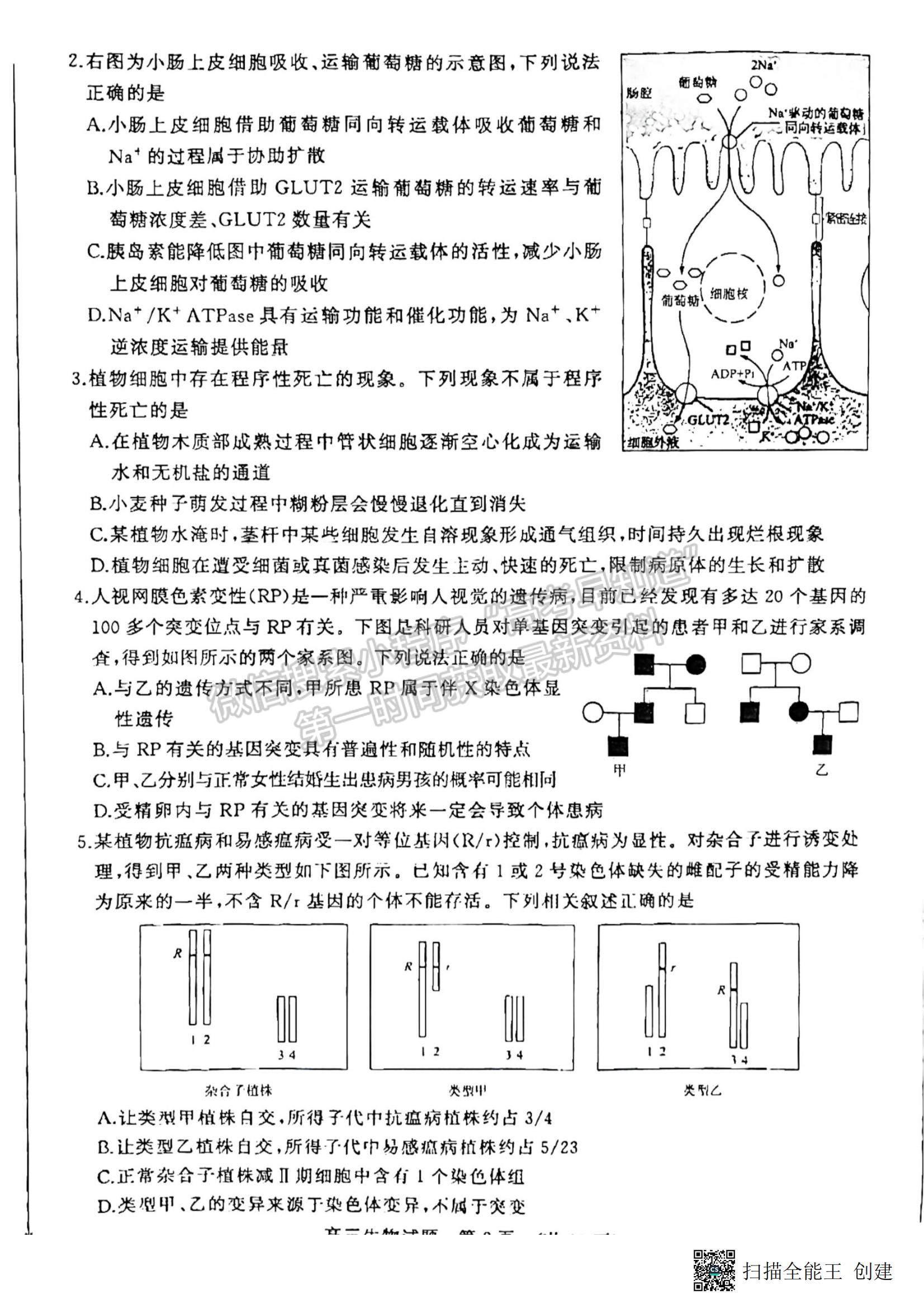 2023年山東濟南高三2月學情檢測-生物試題及答案