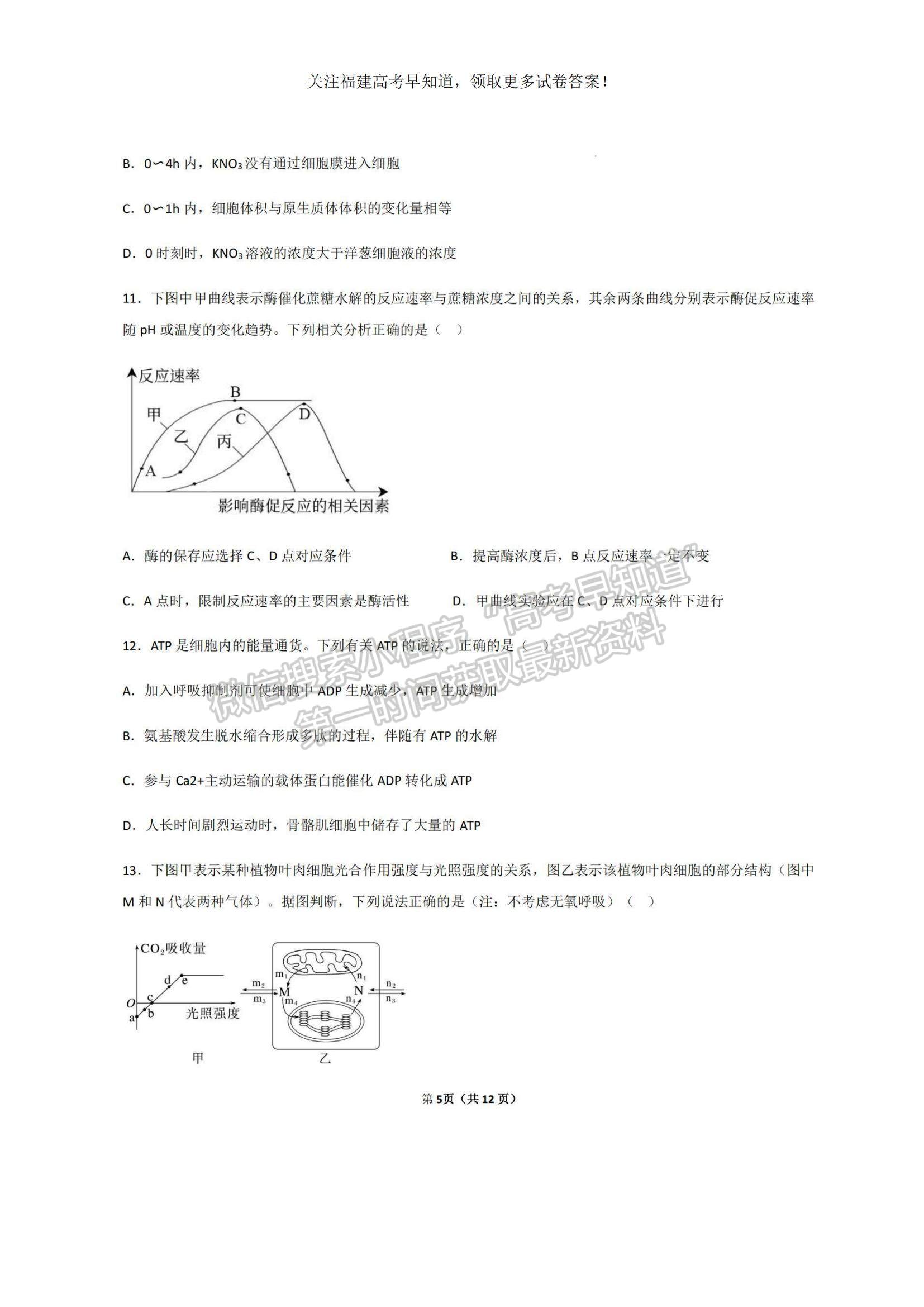 2023福建省三明一中高三上學期期中考試生物試題及參考答案