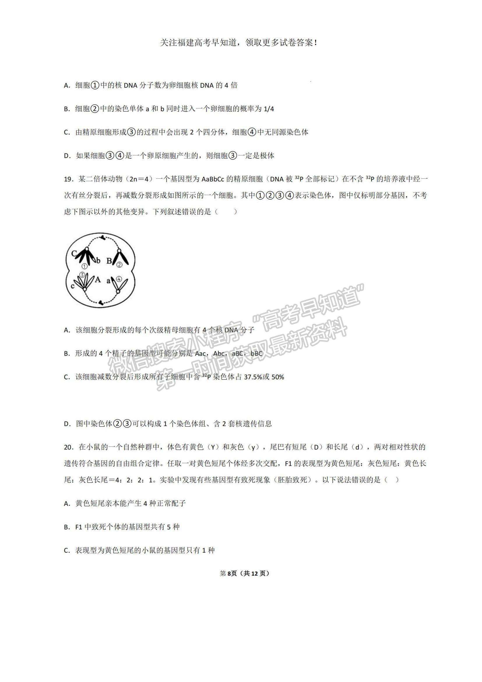 2023福建省三明一中高三上學期期中考試生物試題及參考答案