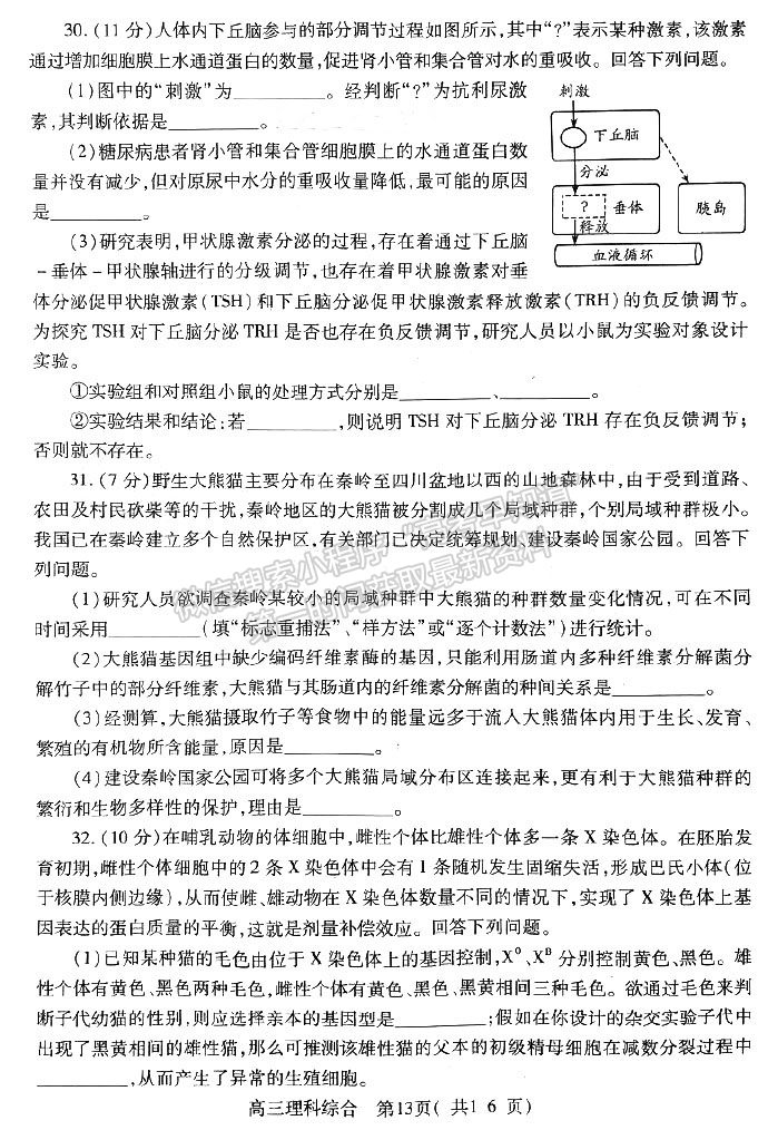 河南省平許濟洛2022-2023高三第二次質量檢測理綜試題及答案