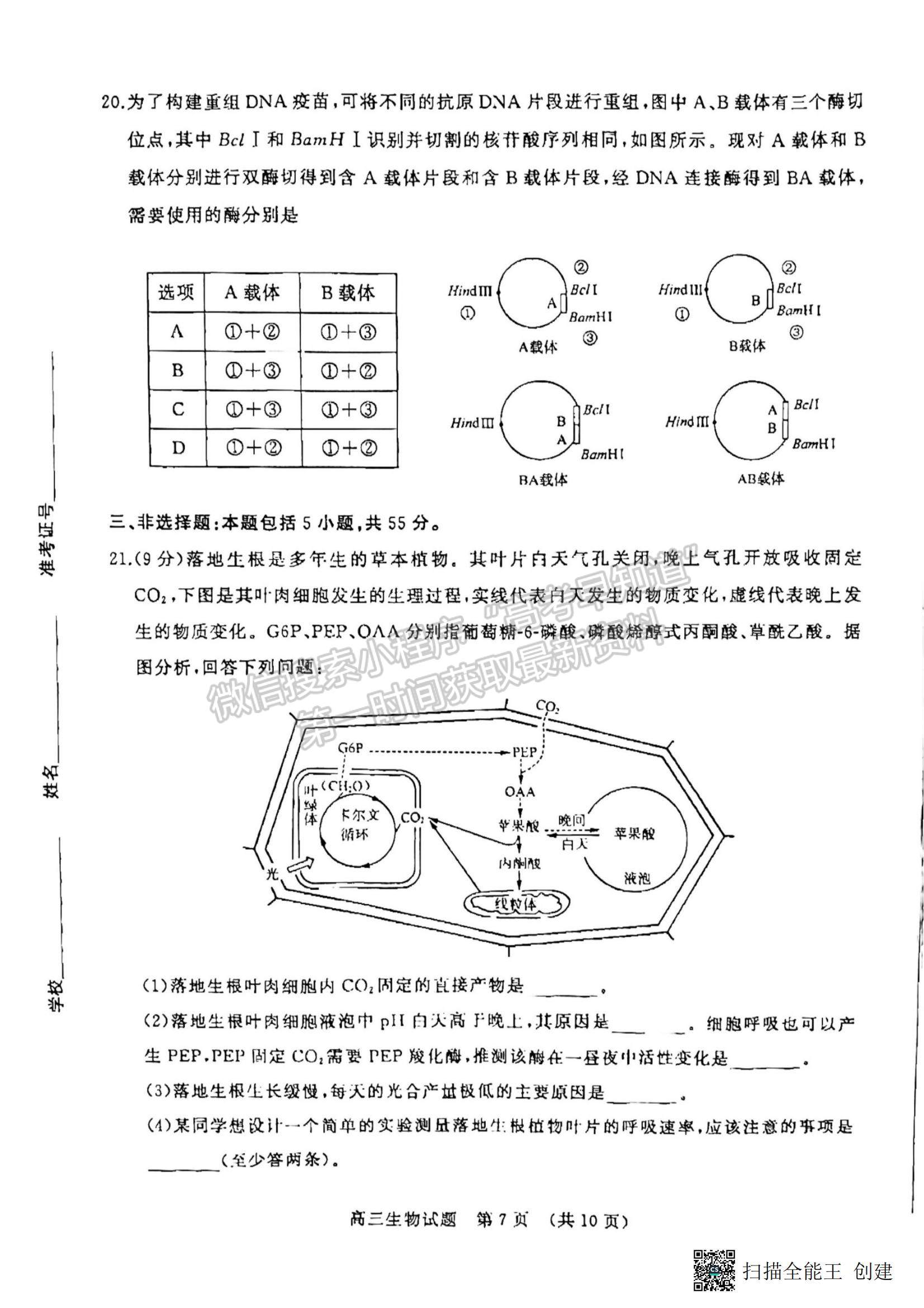 2023年山東濟南高三2月學(xué)情檢測-生物試題及答案