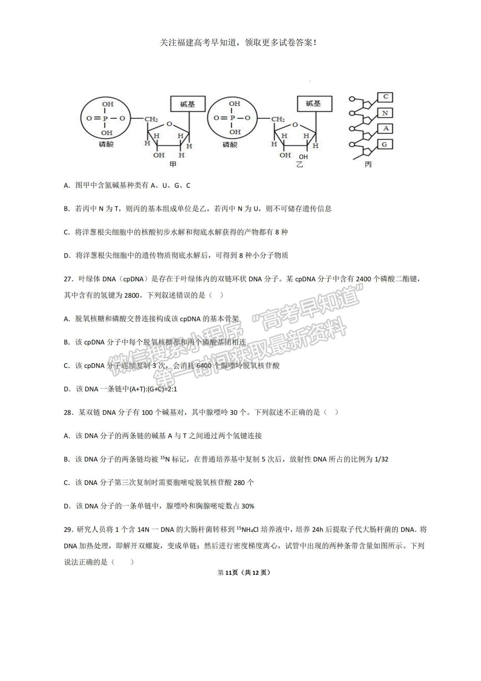 2023福建省三明一中高三上學(xué)期期中考試生物試題及參考答案