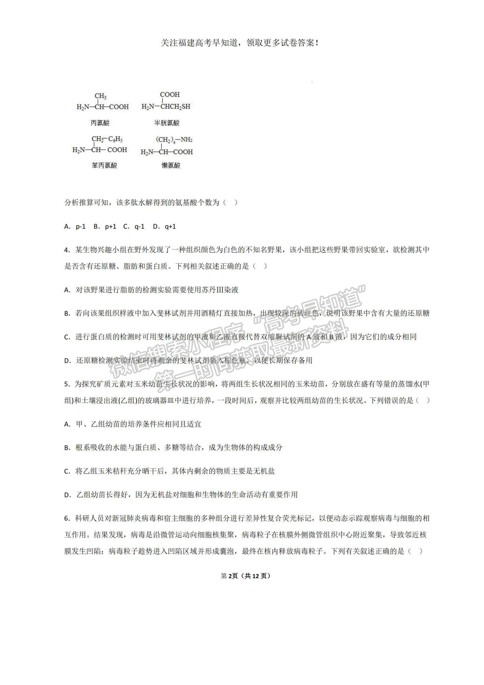 2023福建省三明一中高三上學(xué)期期中考試生物試題及參考答案