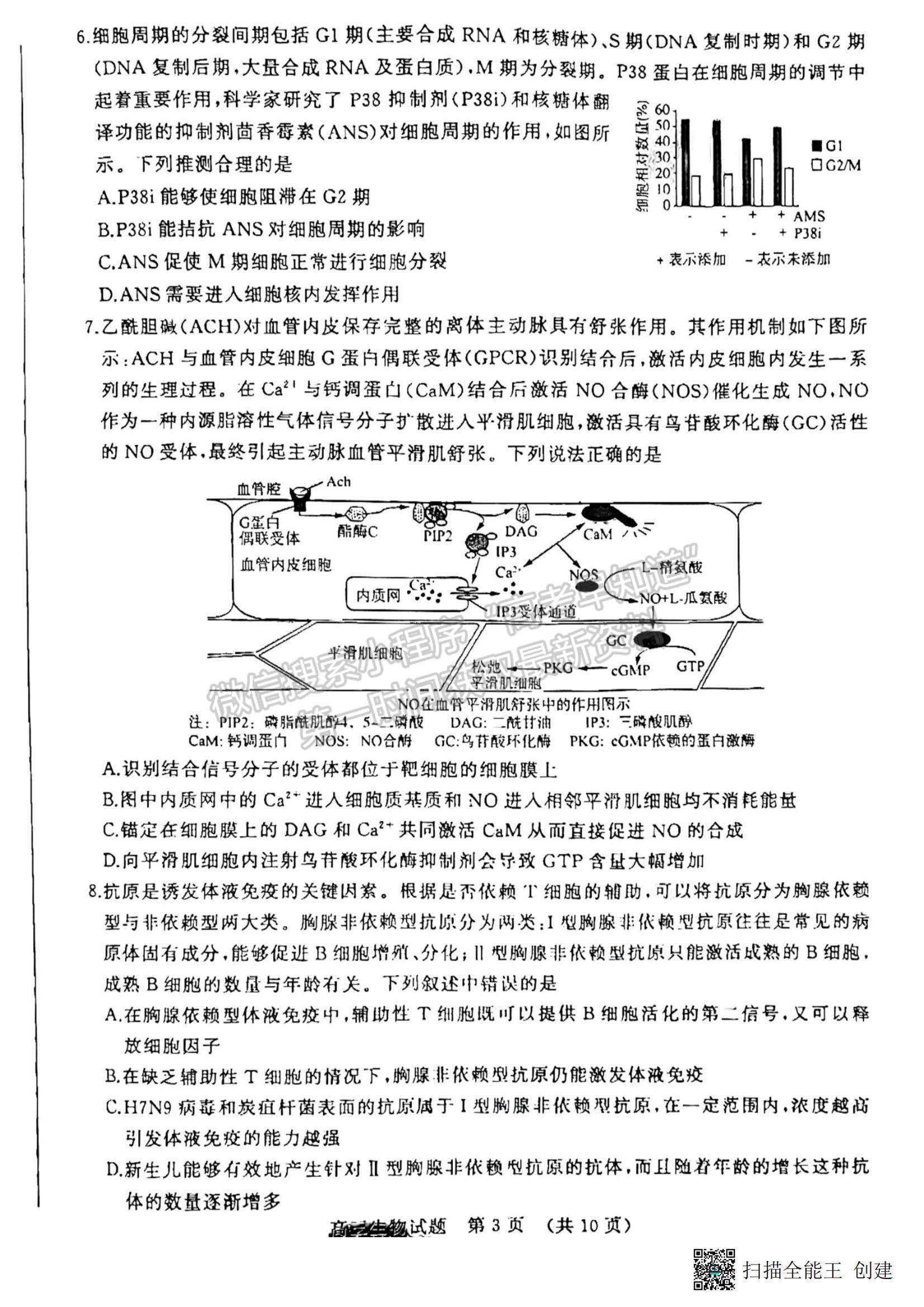 2023年山東濟(jì)南高三2月學(xué)情檢測(cè)-生物試題及答案