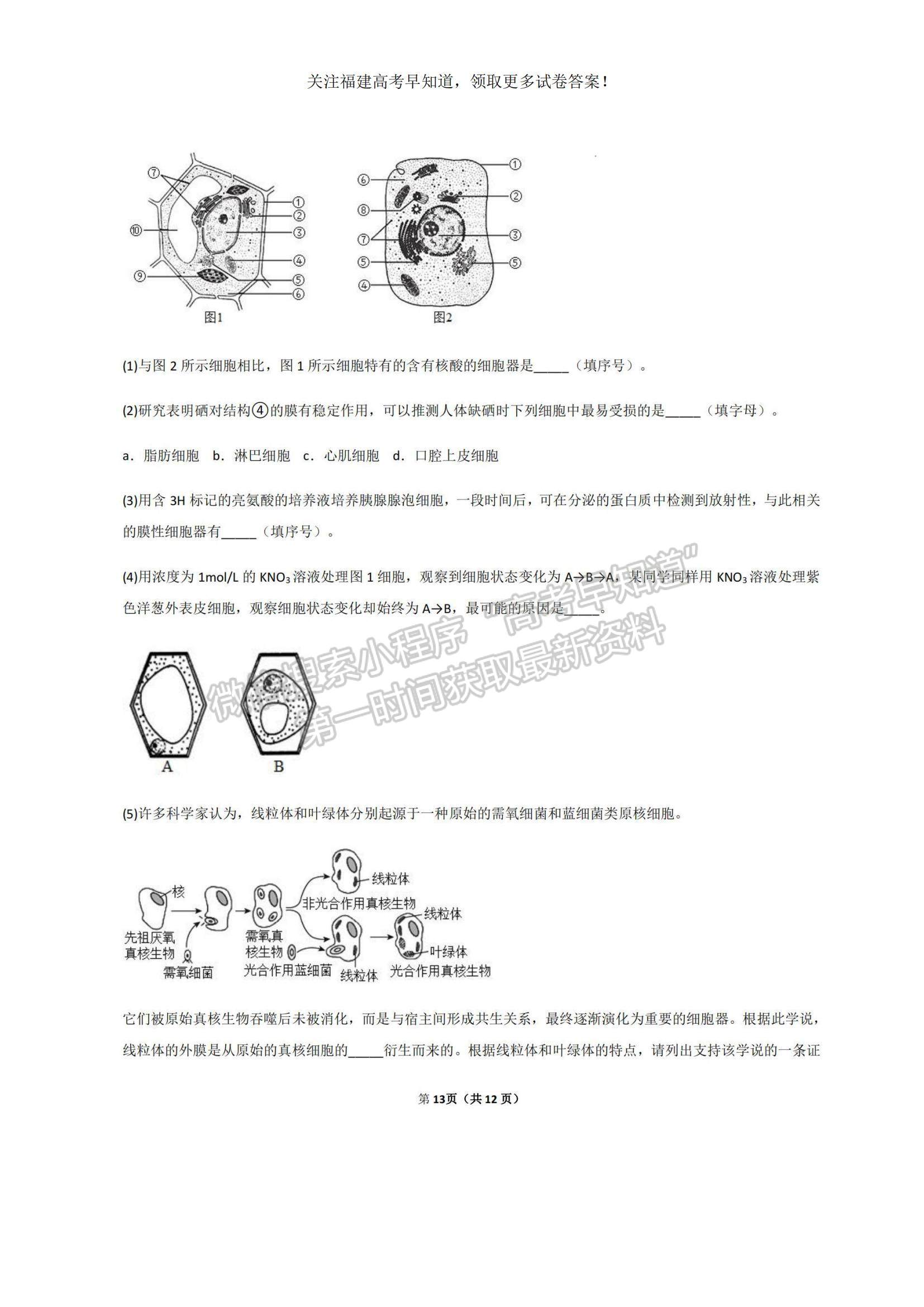 2023福建省三明一中高三上學(xué)期期中考試生物試題及參考答案