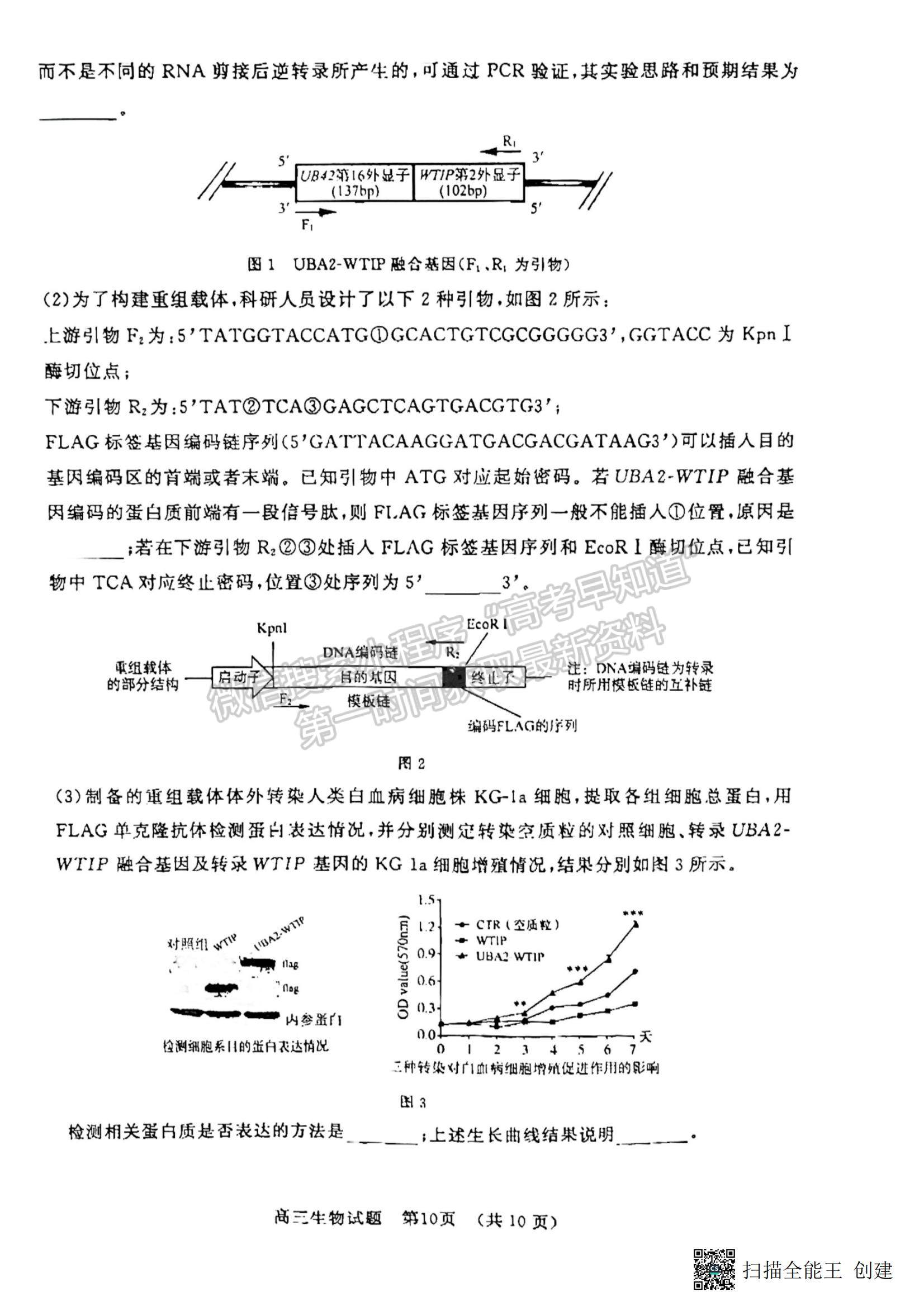 2023年山東濟南高三2月學情檢測-生物試題及答案