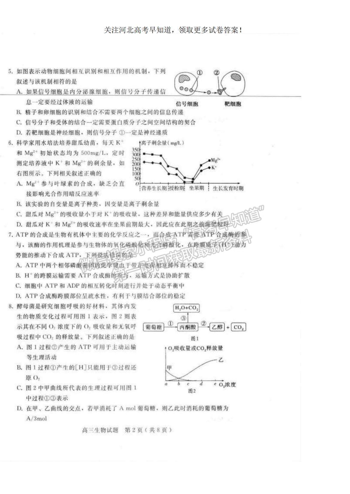 2023河北省邢臺市六校聯(lián)考高三上學(xué)期第一次月考生物試題及參考答案