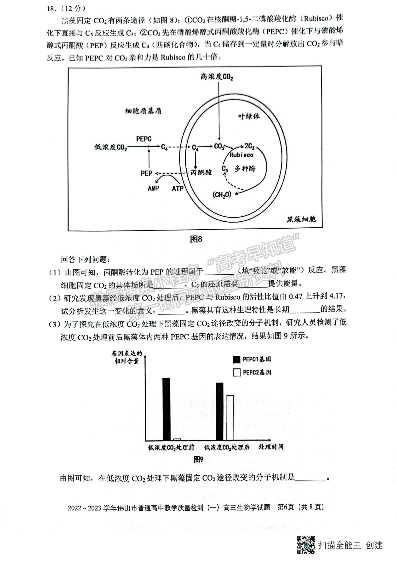 2023佛山高三市統(tǒng)考【佛山一模】生物試題及答案