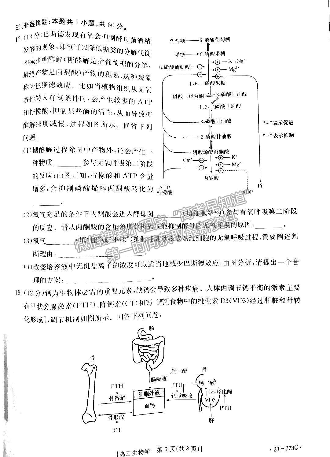  2023湖南高三2月大聯(lián)考（23-273C）生物試題及參考答案匯總