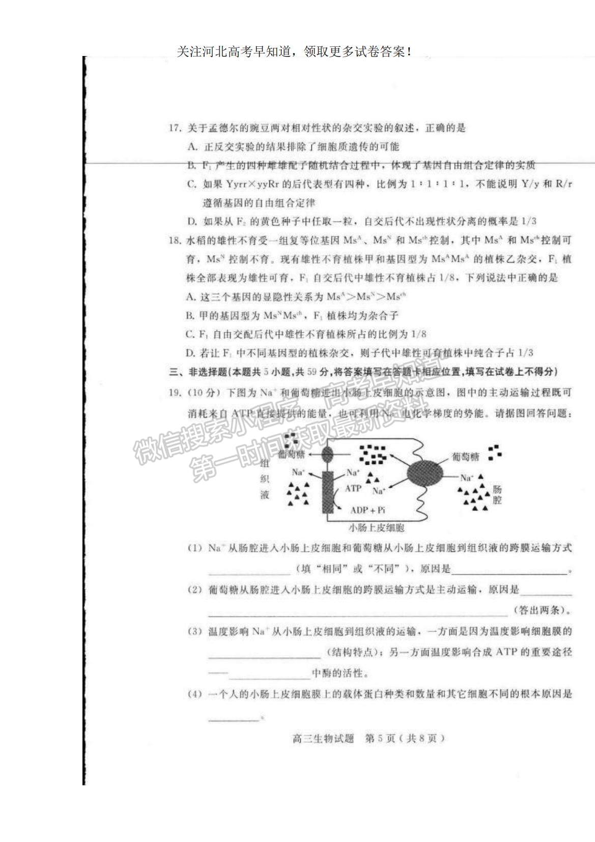 2023河北省邢台市六校联考高三上学期第一次月考生物试题及参考答案