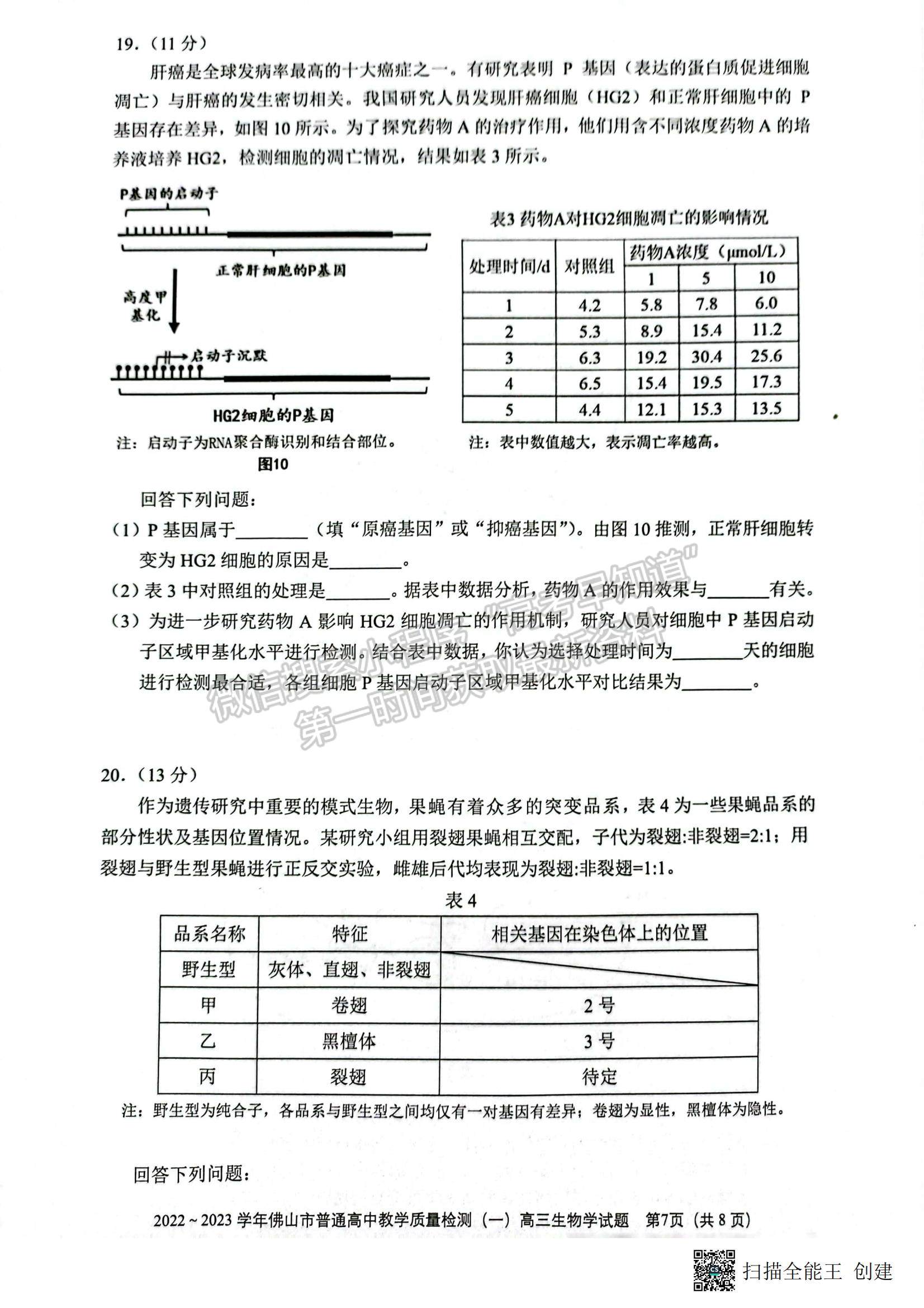 2023佛山高三市統(tǒng)考【佛山一模】生物試題及答案