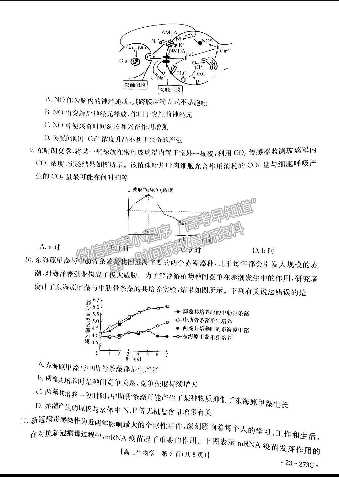  2023湖南高三2月大聯(lián)考（23-273C）生物試題及參考答案匯總