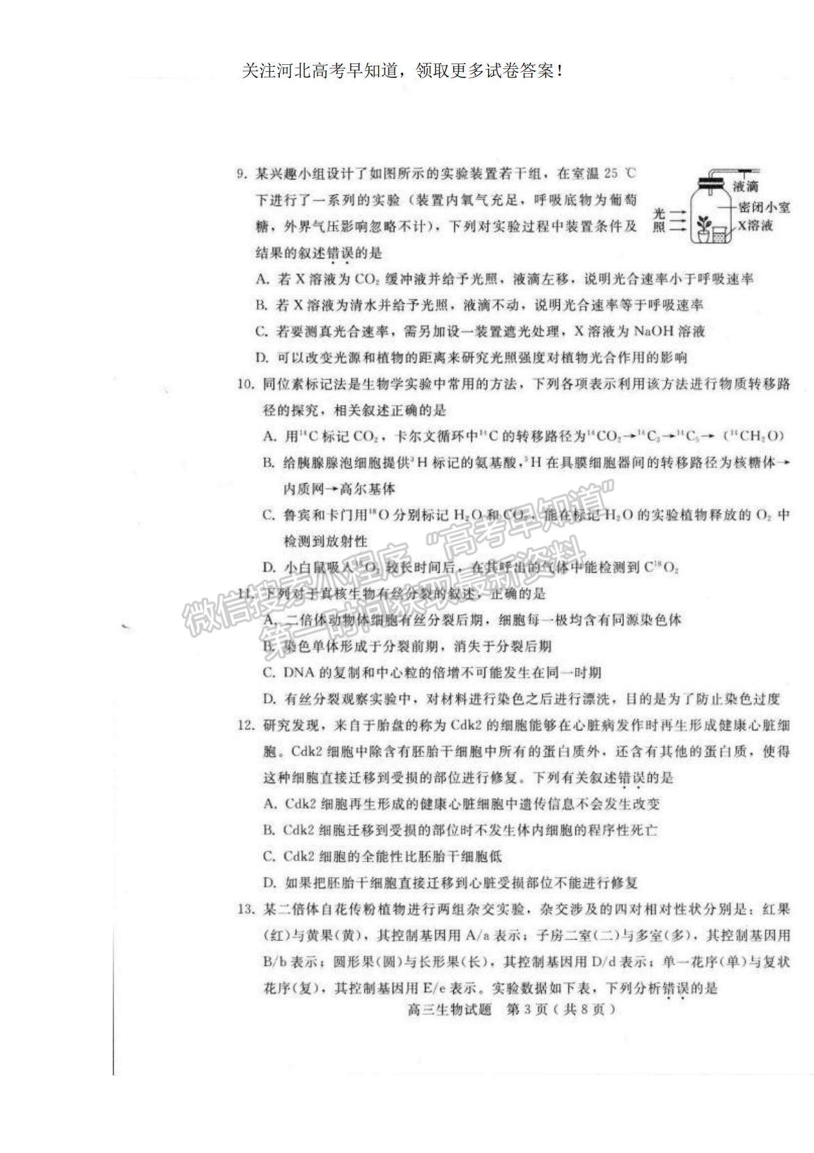 2023河北省邢臺(tái)市六校聯(lián)考高三上學(xué)期第一次月考生物試題及參考答案