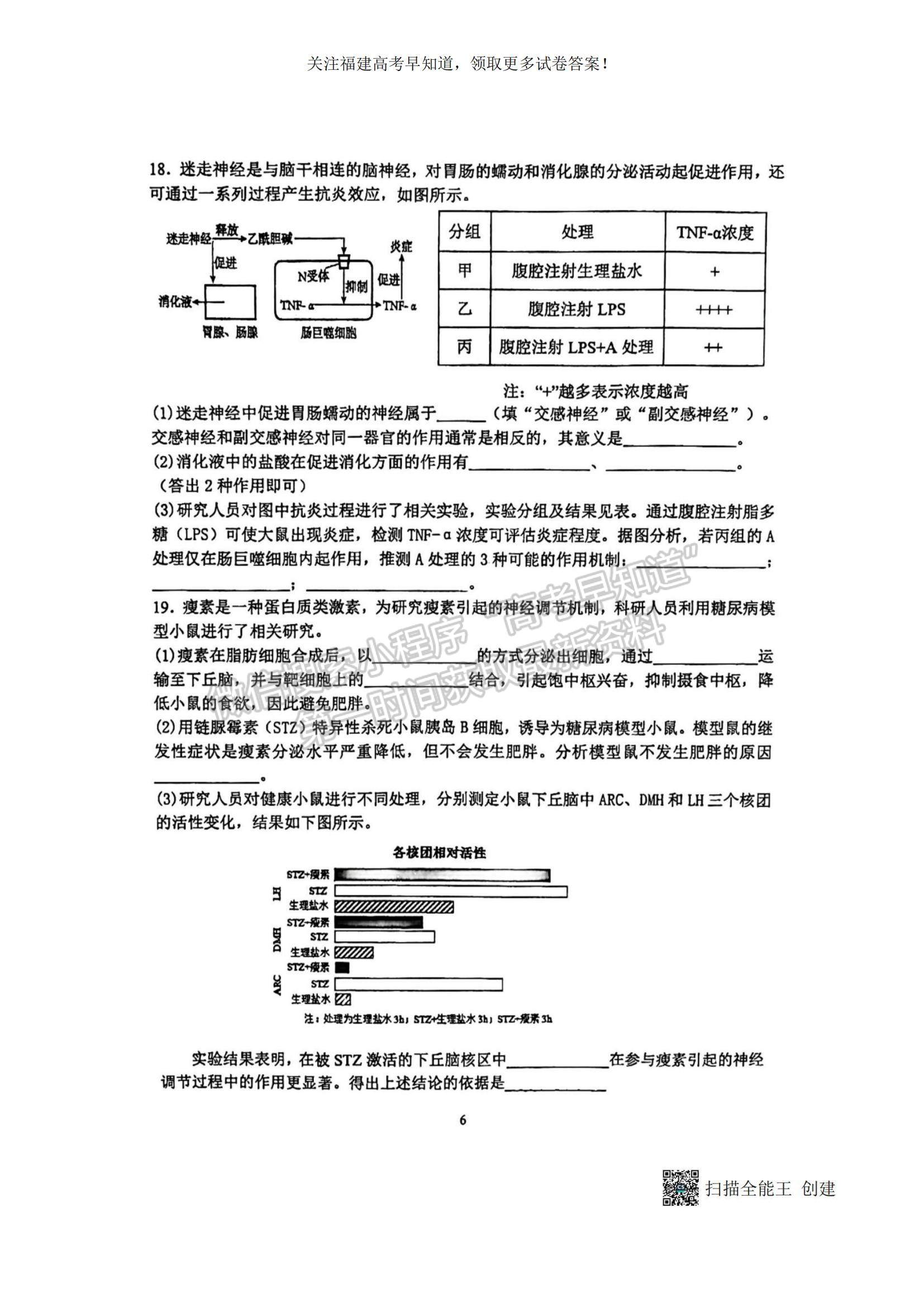 2023福建省廈門一中高三上學期11月期中考試生物試題及參考答案