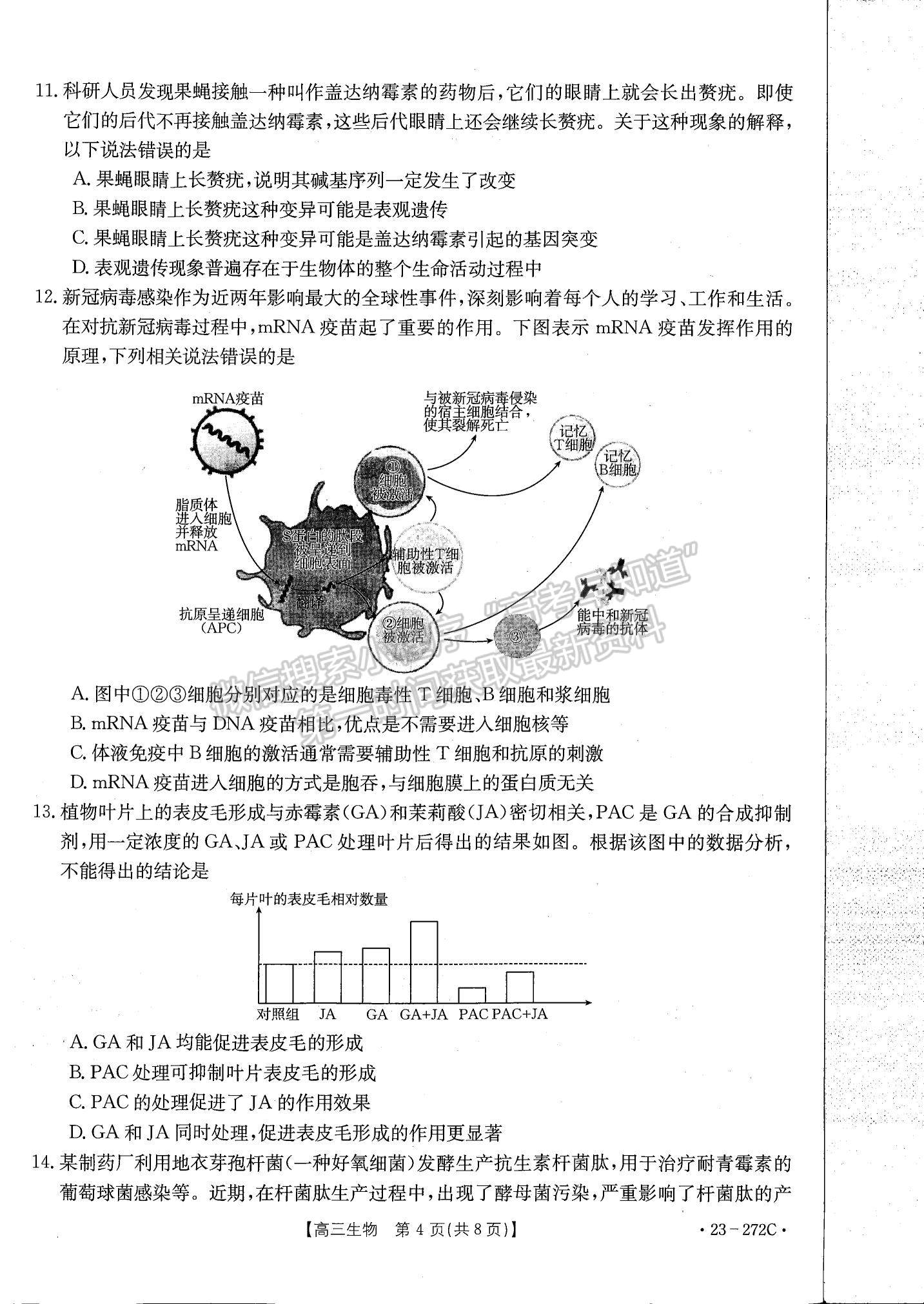 2023广东高三2月大联考（23-272C）生物试题及答案