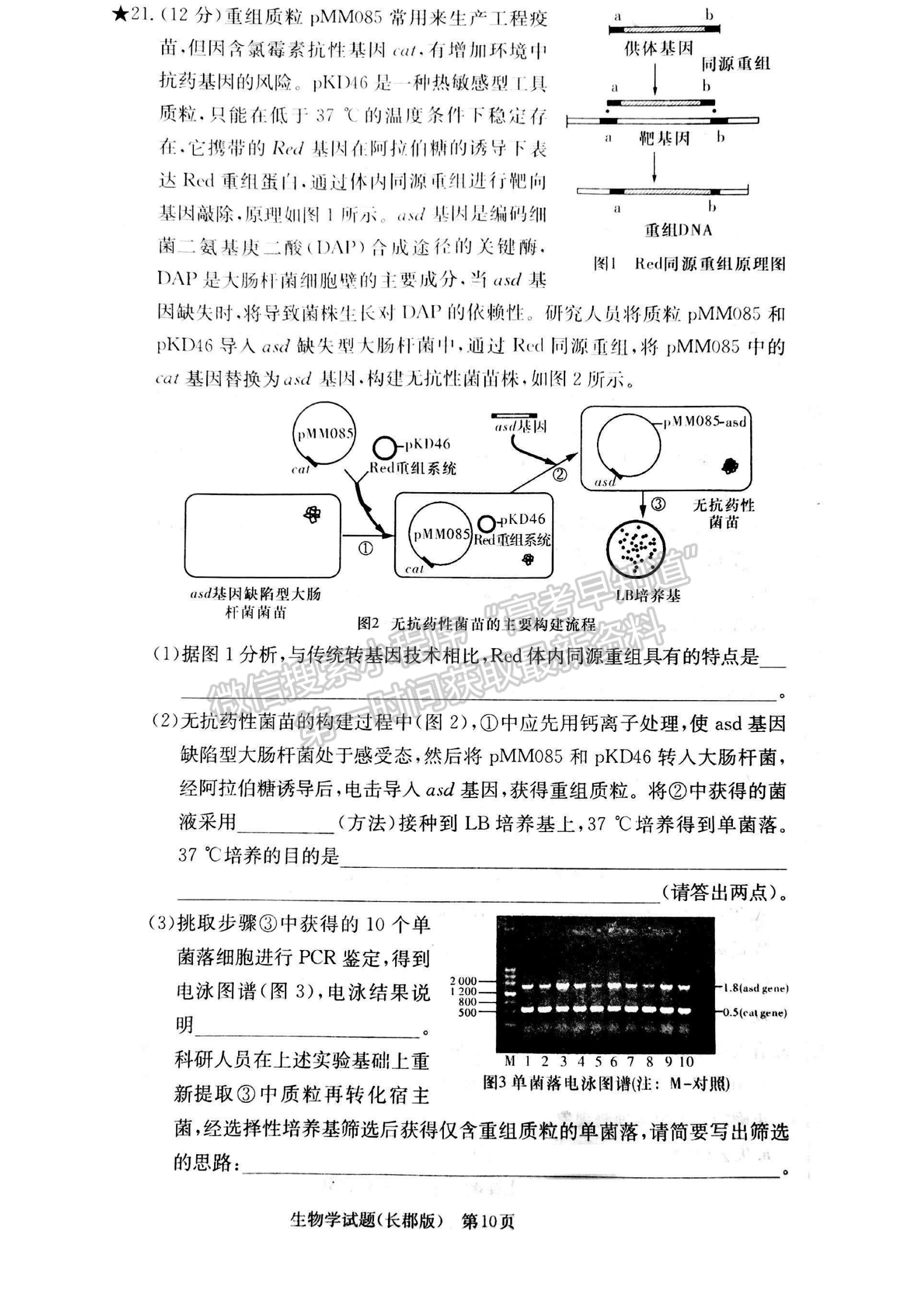 2023湖南炎德英才長郡中學(xué)高三月考（六）生物試卷及答案