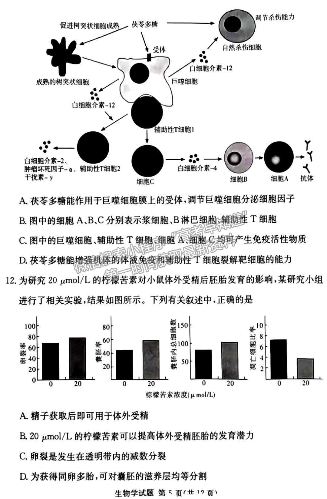 佩佩教育2023年湖南四大名校名師團(tuán)隊(duì)模擬沖刺卷生物試卷與參考答案